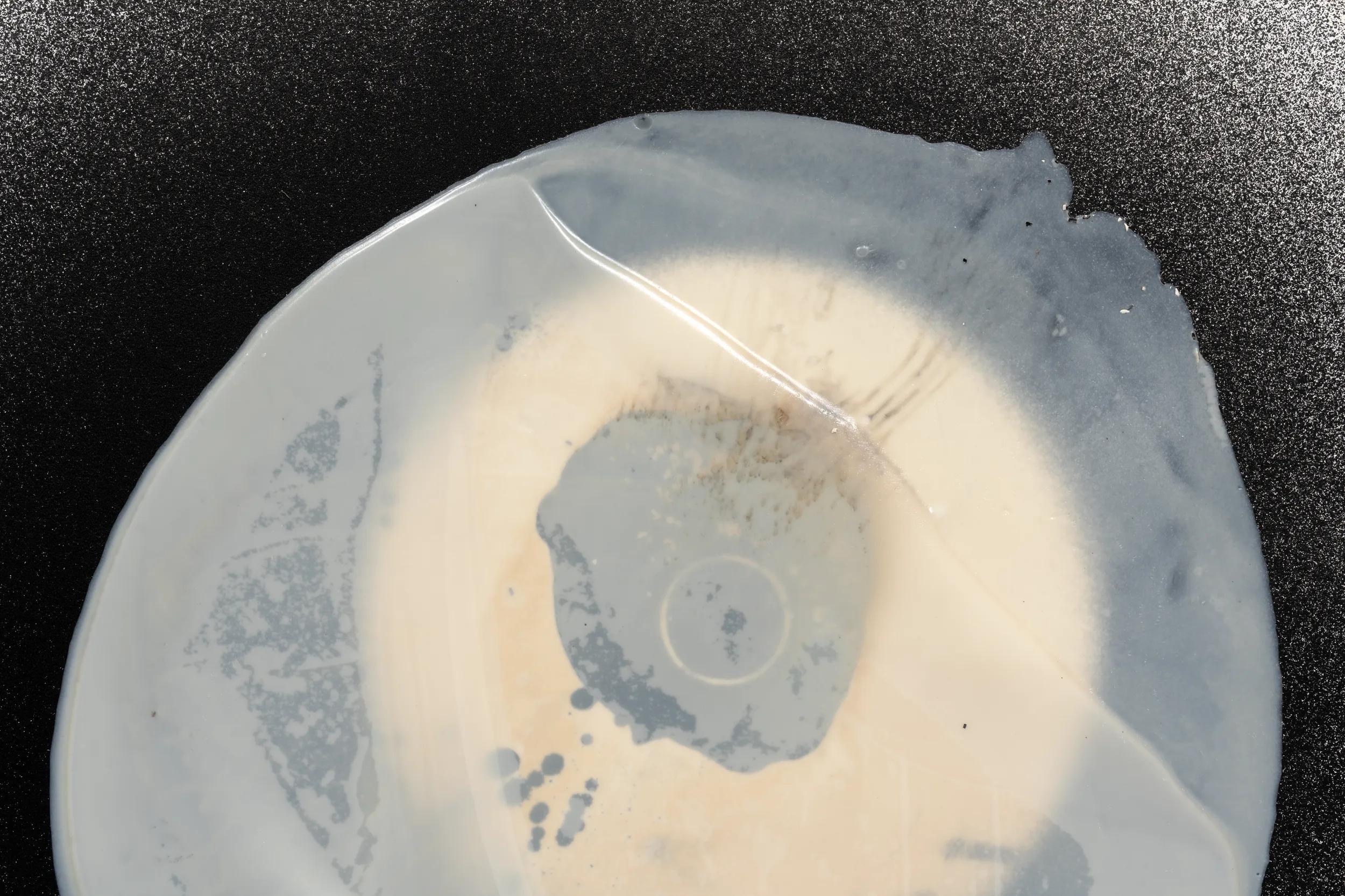 Hero image for exhibition titled Takesada Matsutani