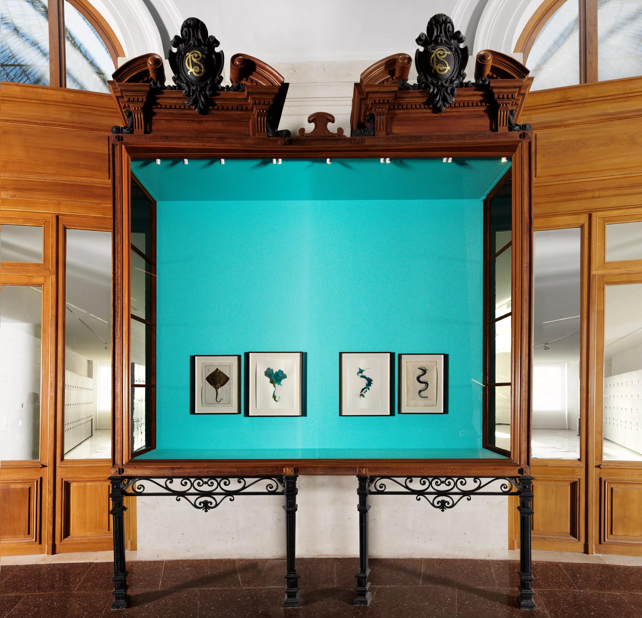 Image for exhibition 