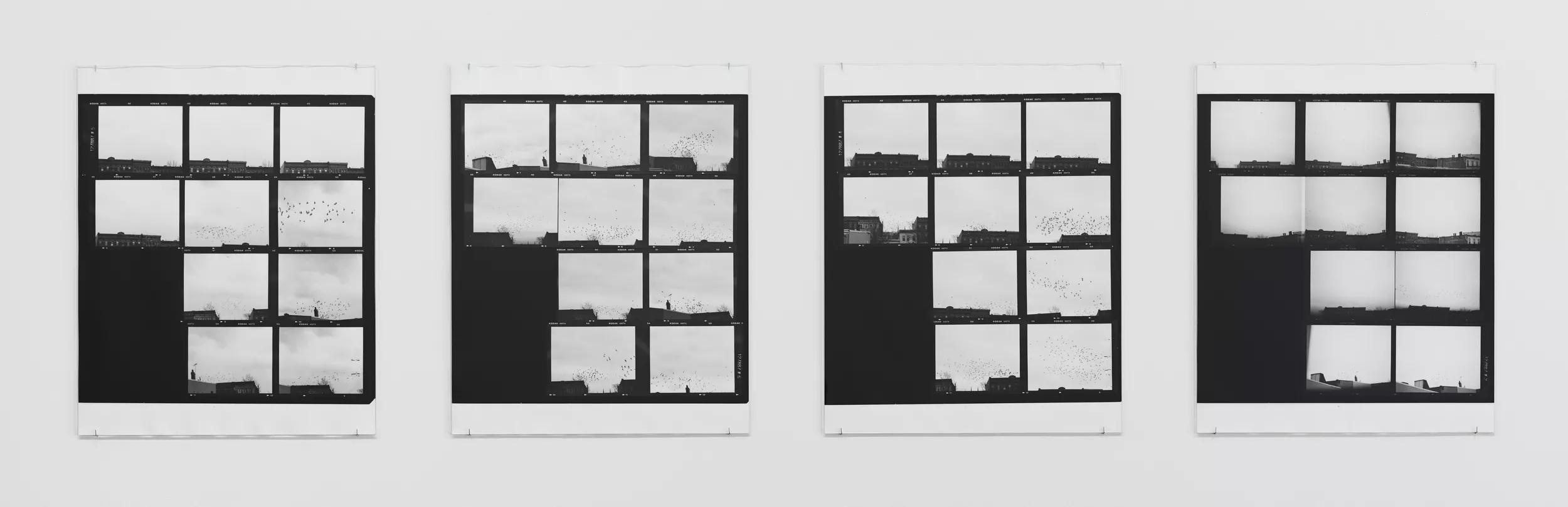 Image for exhibition 