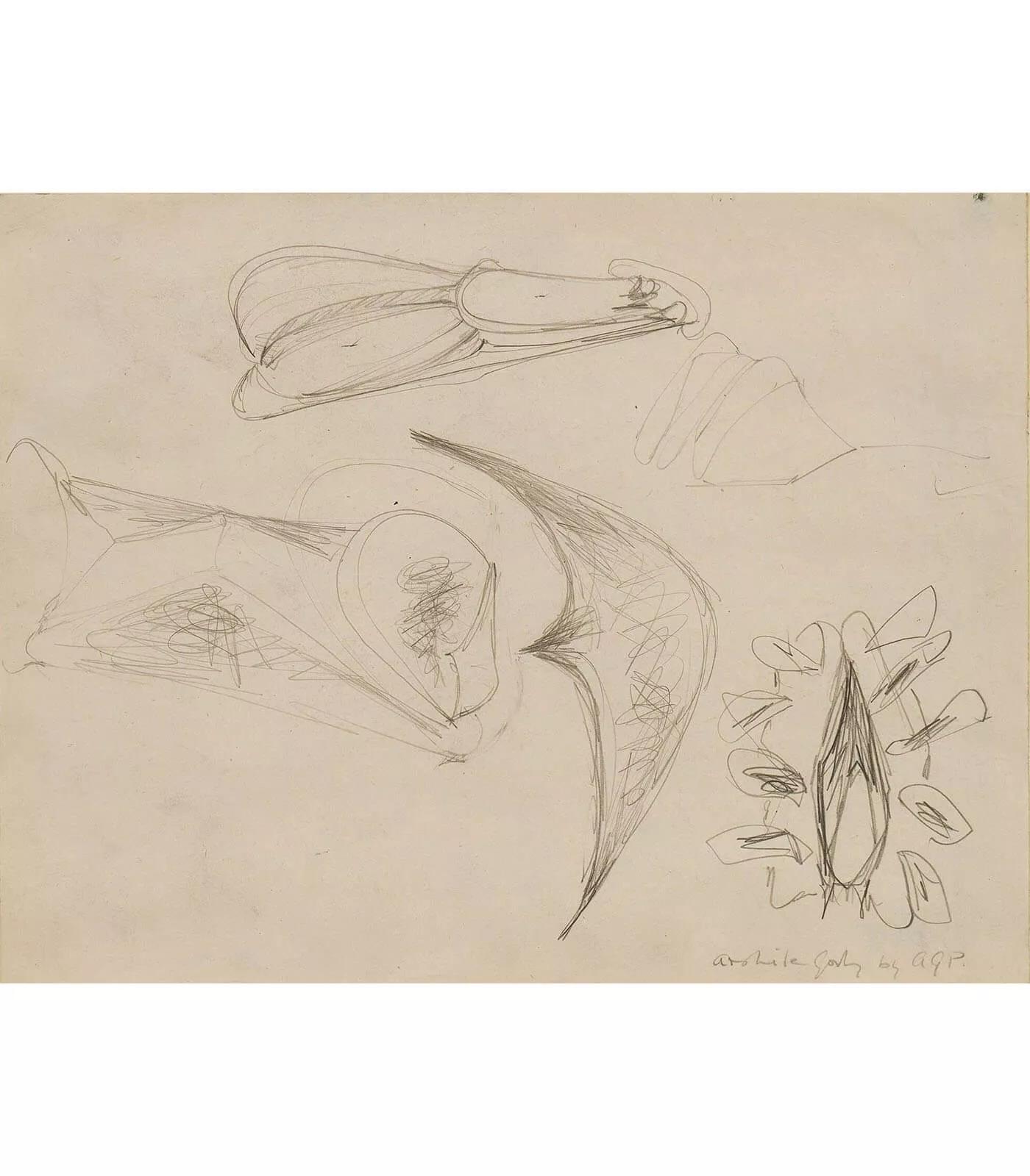 Image for exhibition titled Arshile Gorky
