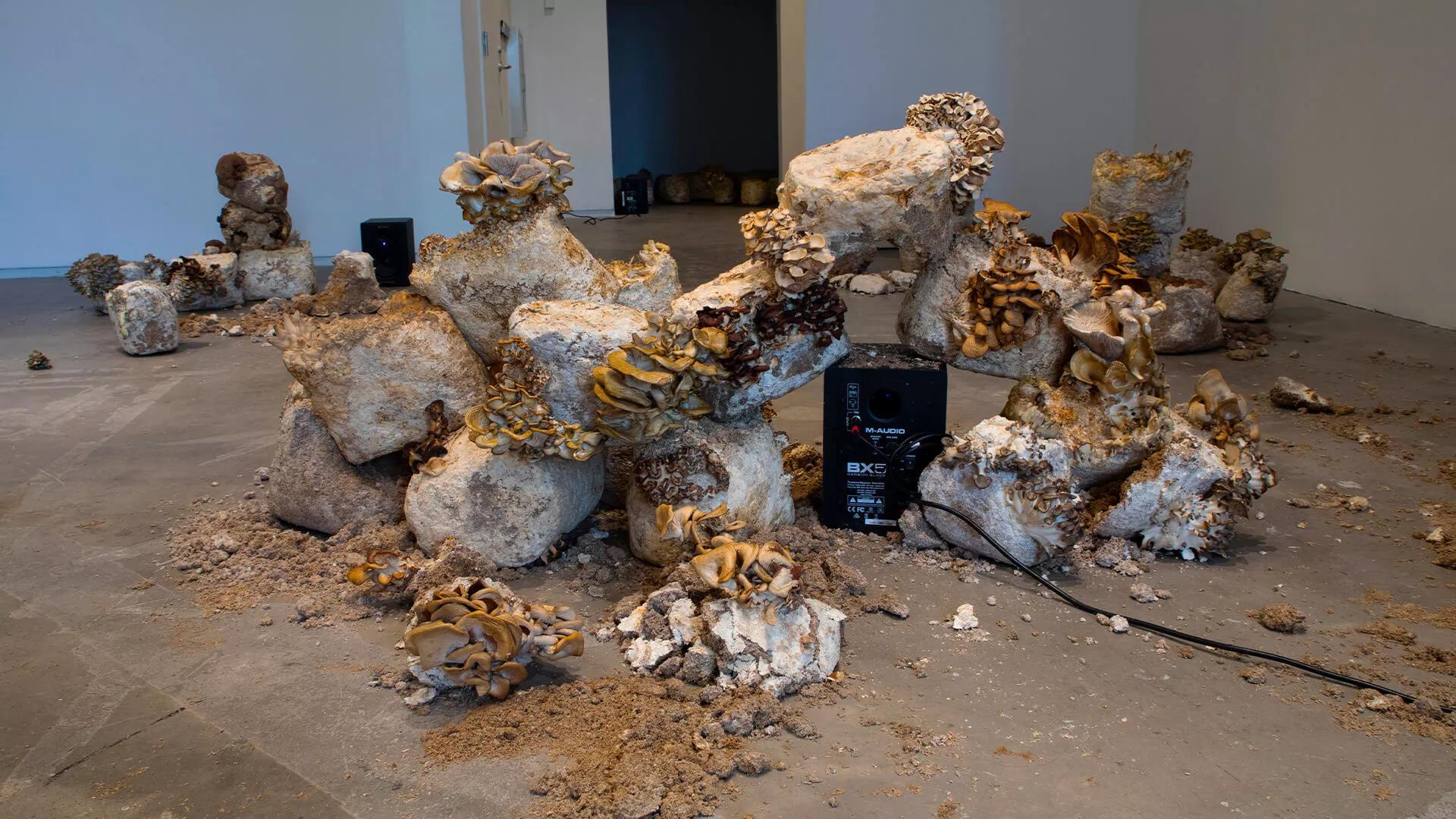 Image for exhibition 