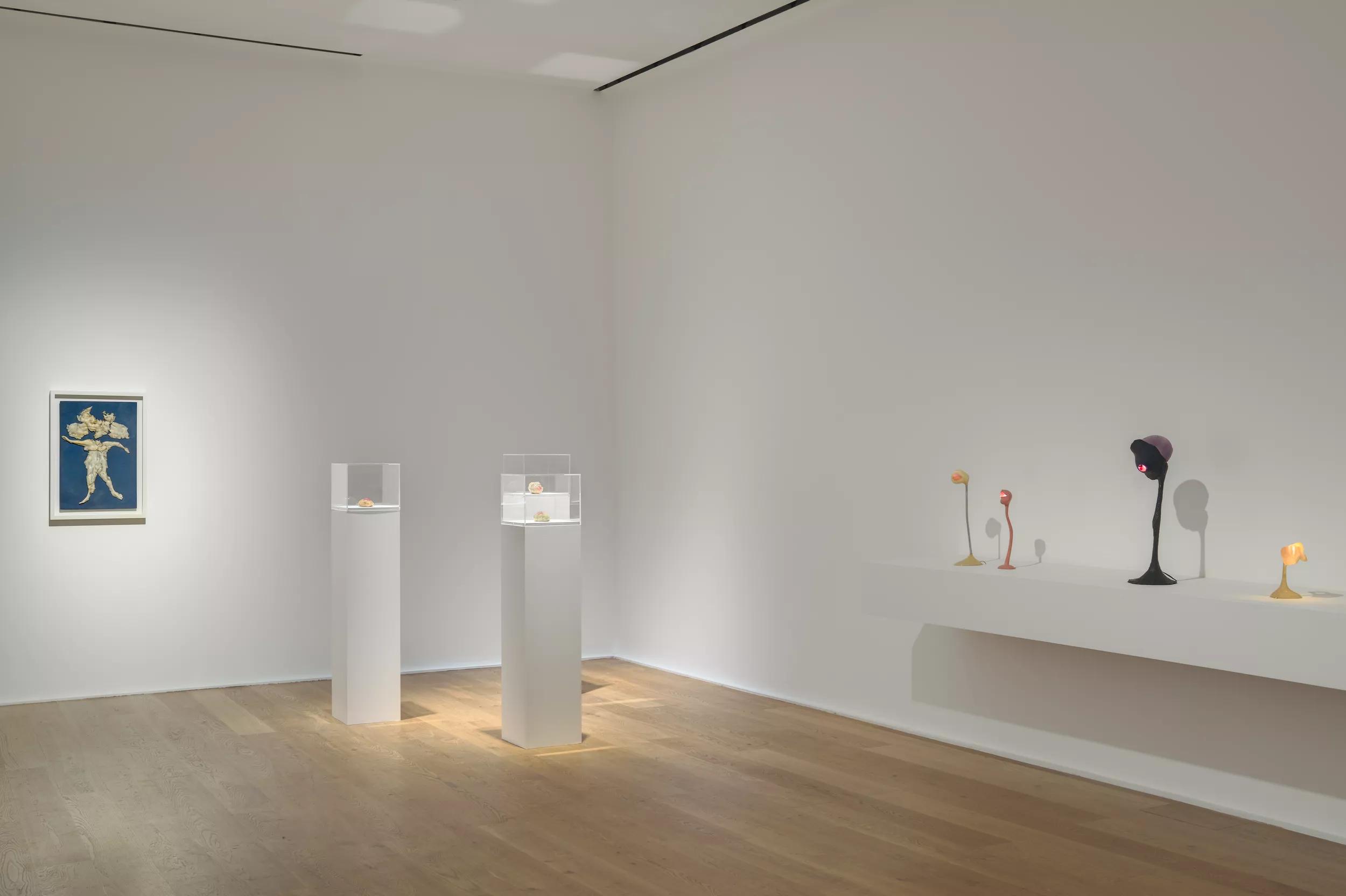 Installation view image for Installation views