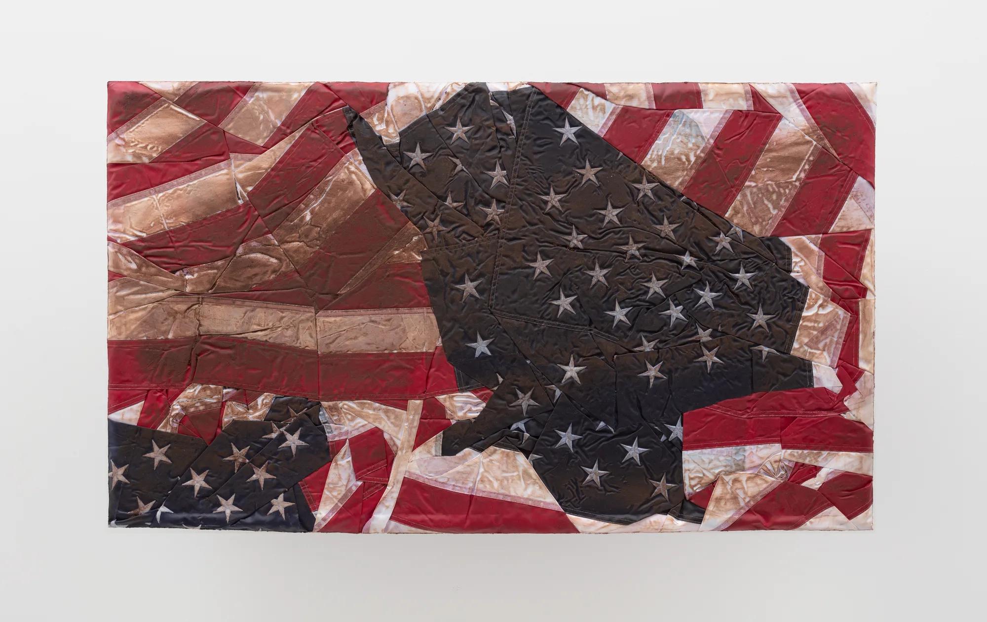 Image for exhibition titled Josh Kline