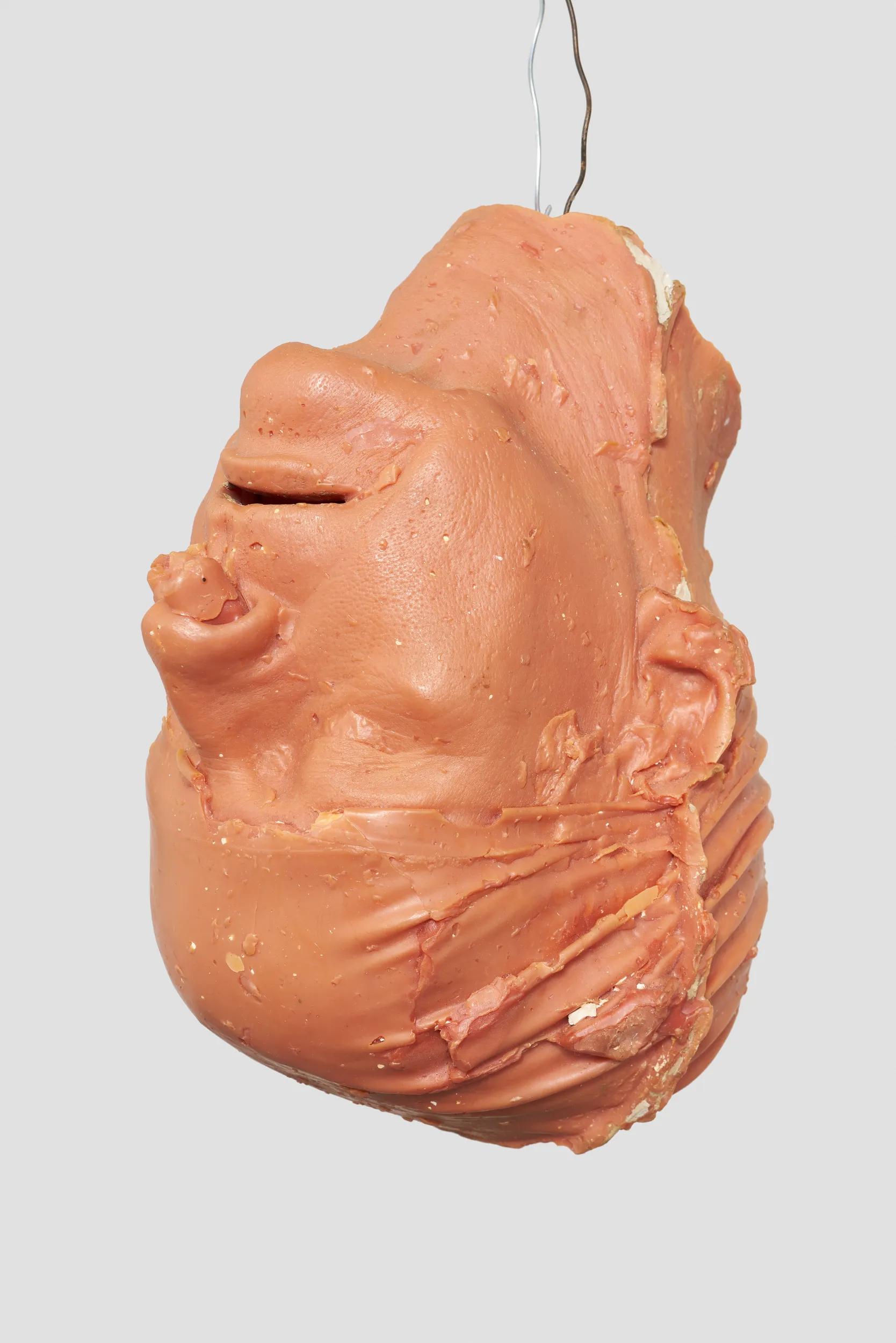 Image 4 of 6