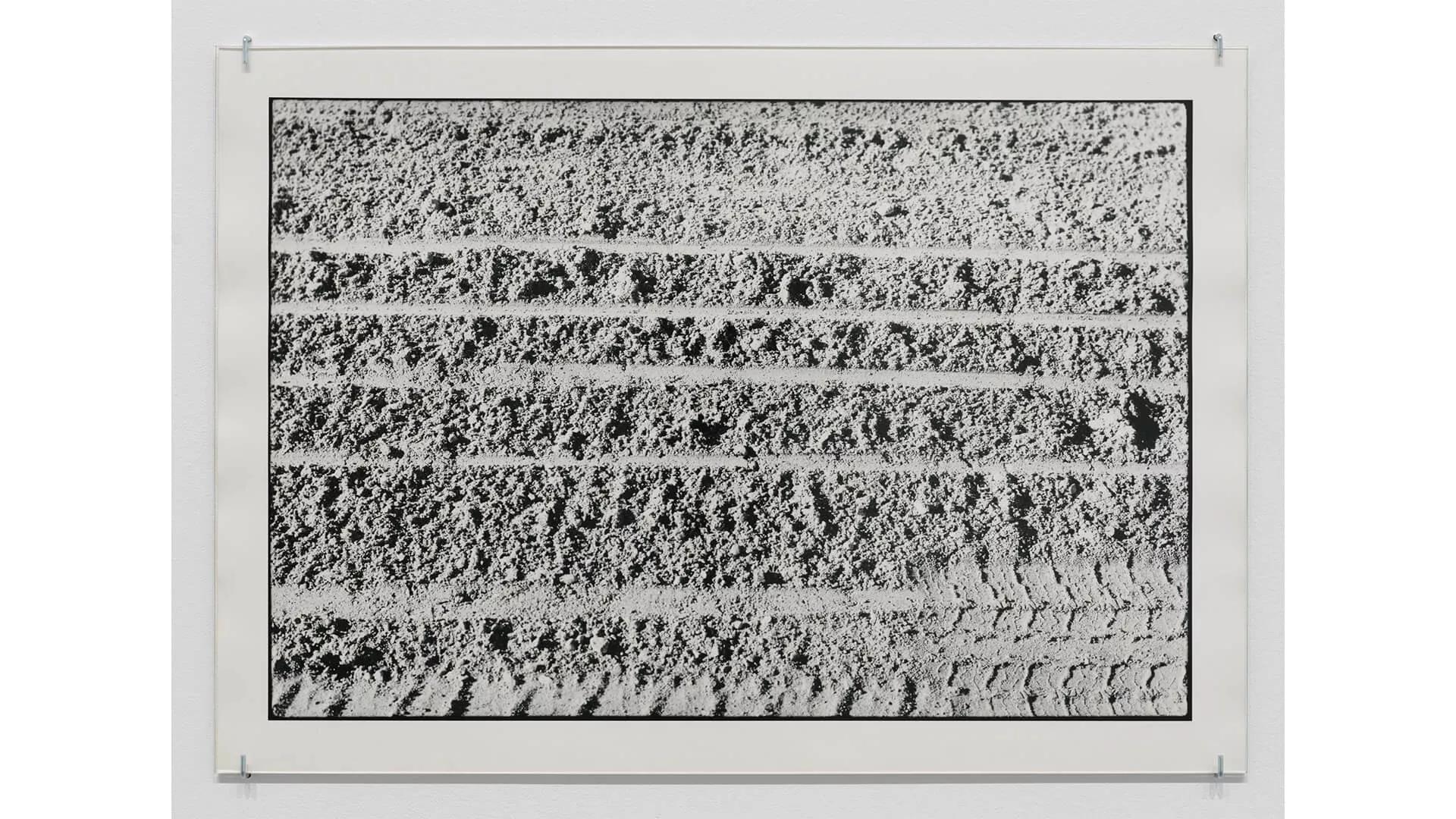 Image for exhibition 