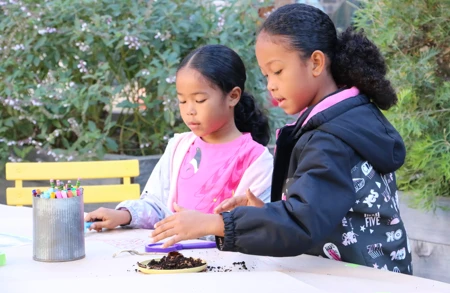 Thumbnail image for event called Garden Workshop: Growing a Small Container Salsa Garden