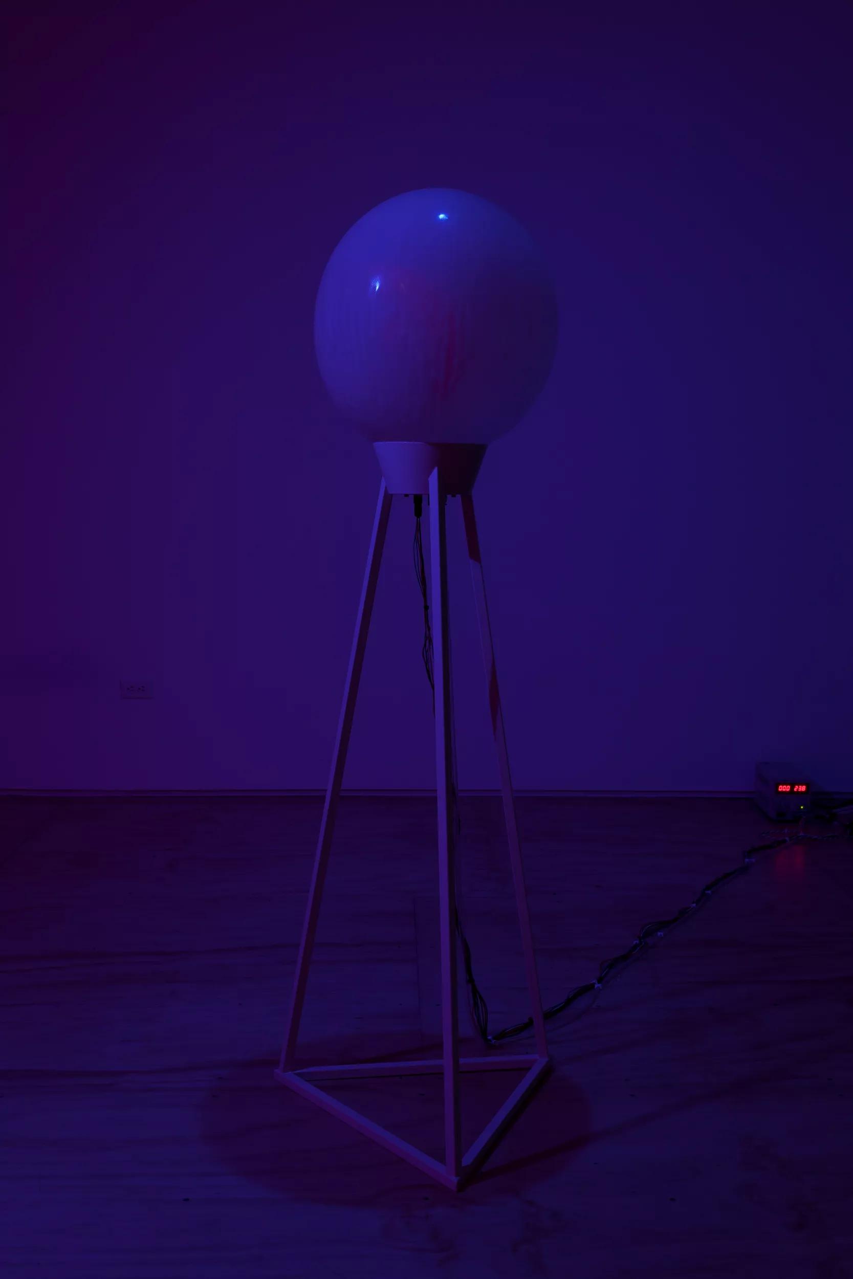 Image for exhibition titled Antoine Catala