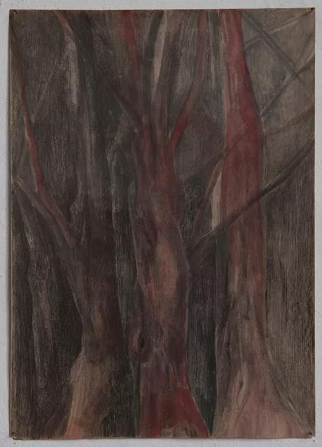 Image for exhibition 