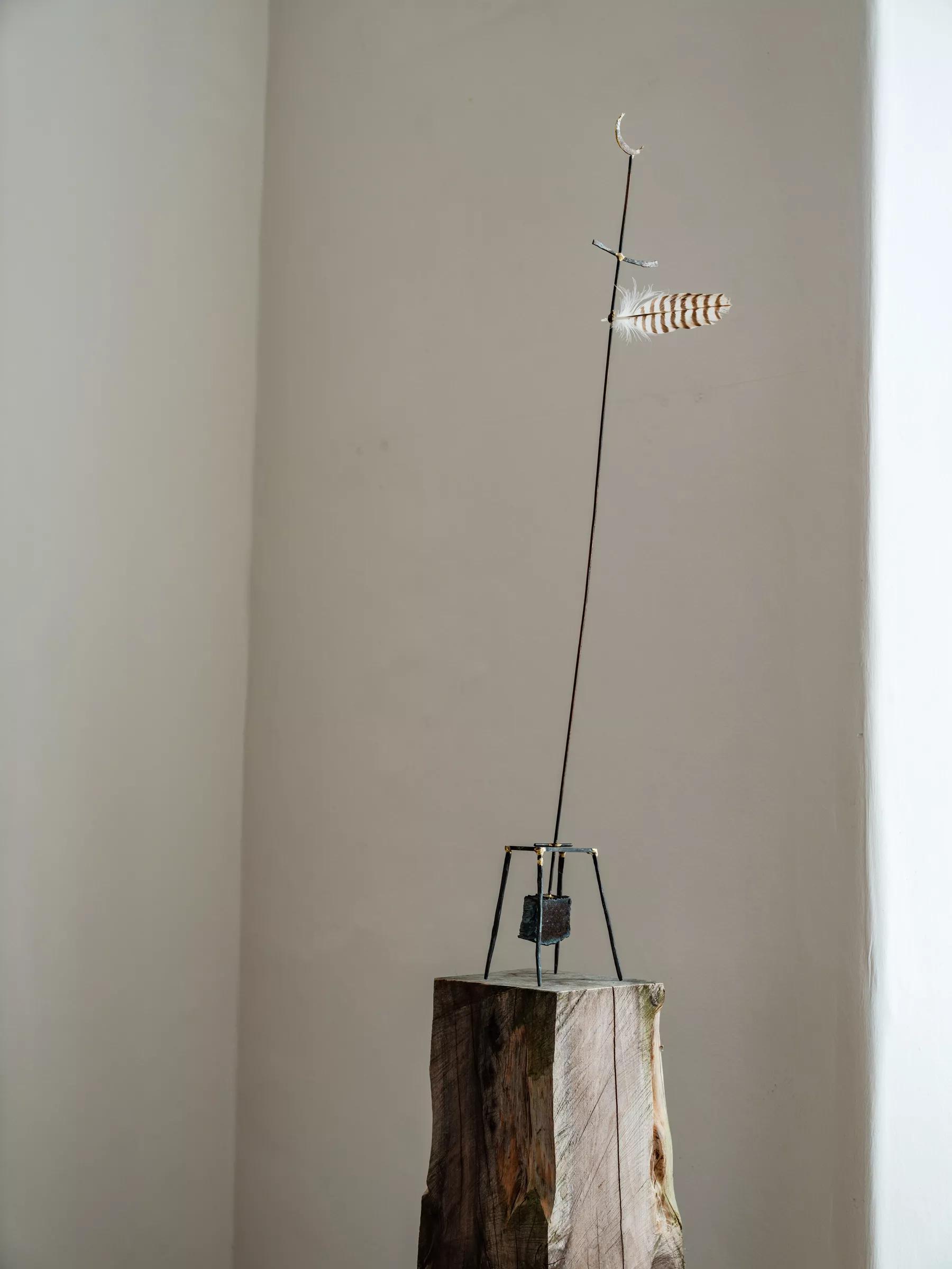 Image for exhibition 