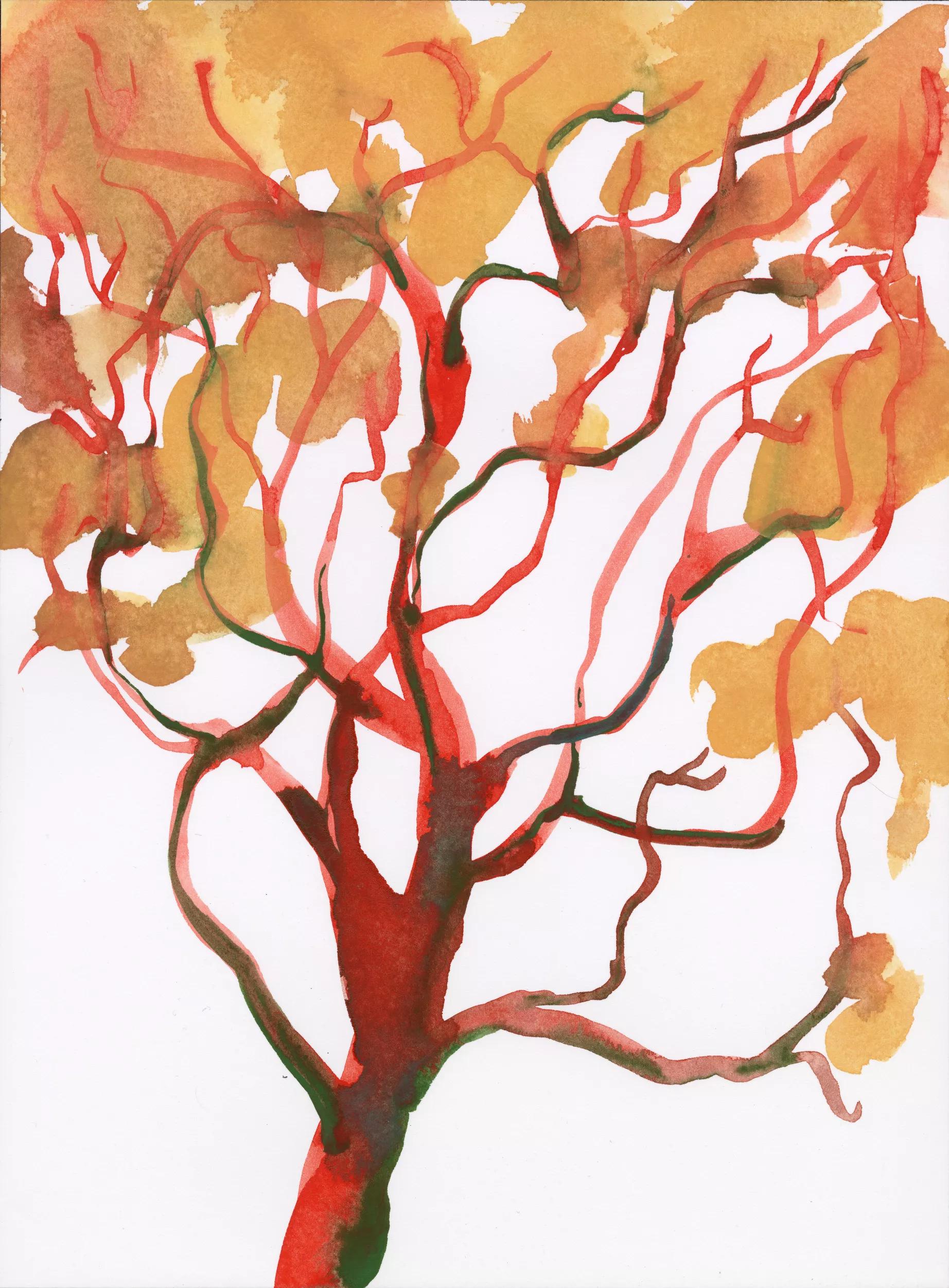 Hero image Ursula Hero titled Seeing the Forest for the Trees