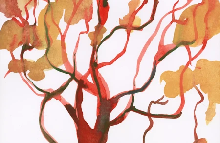 Thumbnail Image for Ursula Article titled Seeing the Forest for the Trees