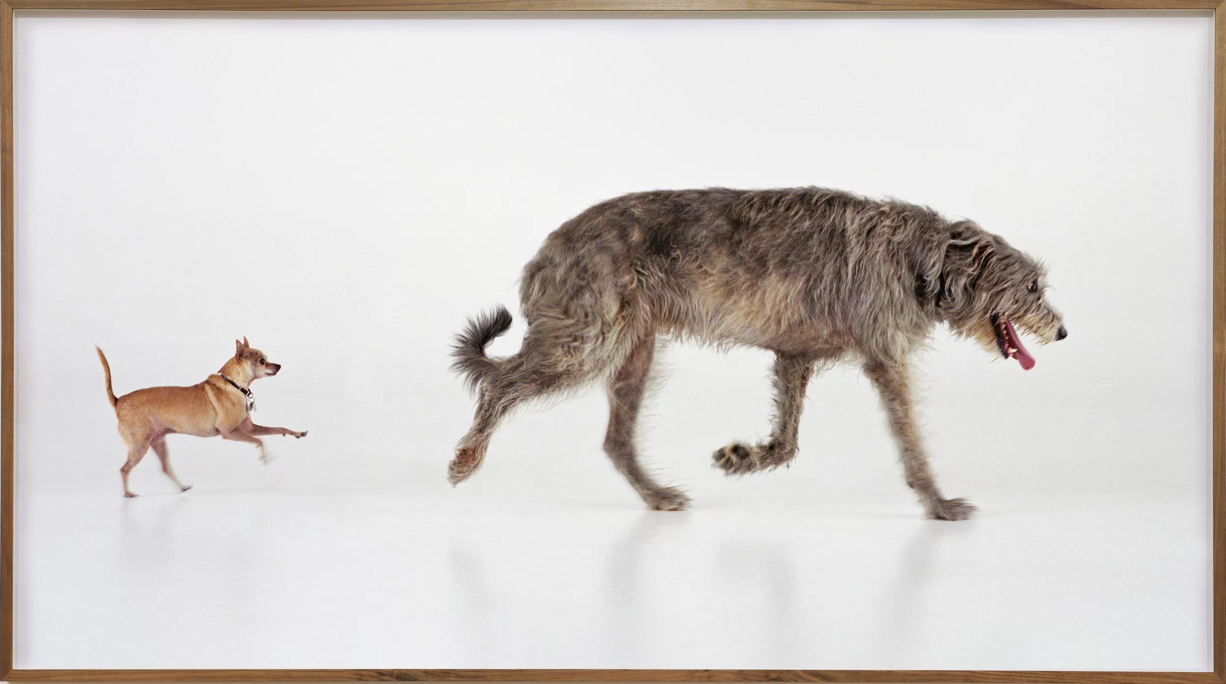 Image for exhibition 