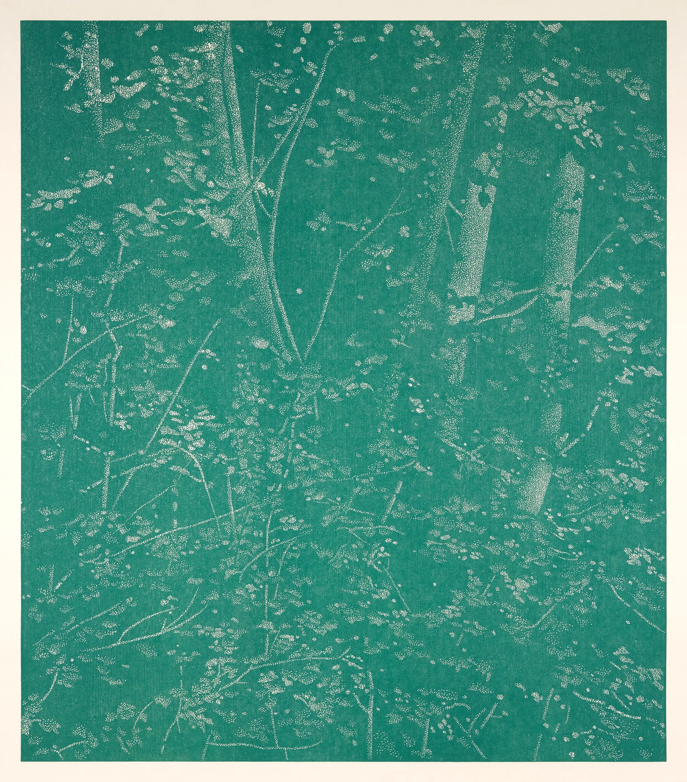 Image for exhibition 