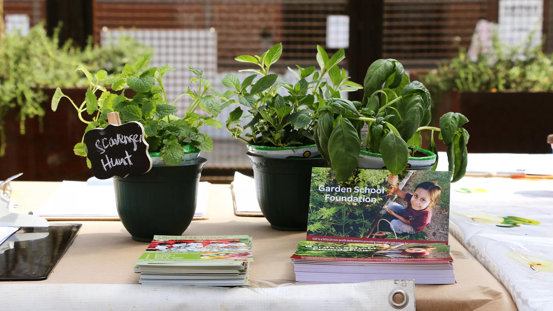 Hero image for event titled Family Garden Workshop