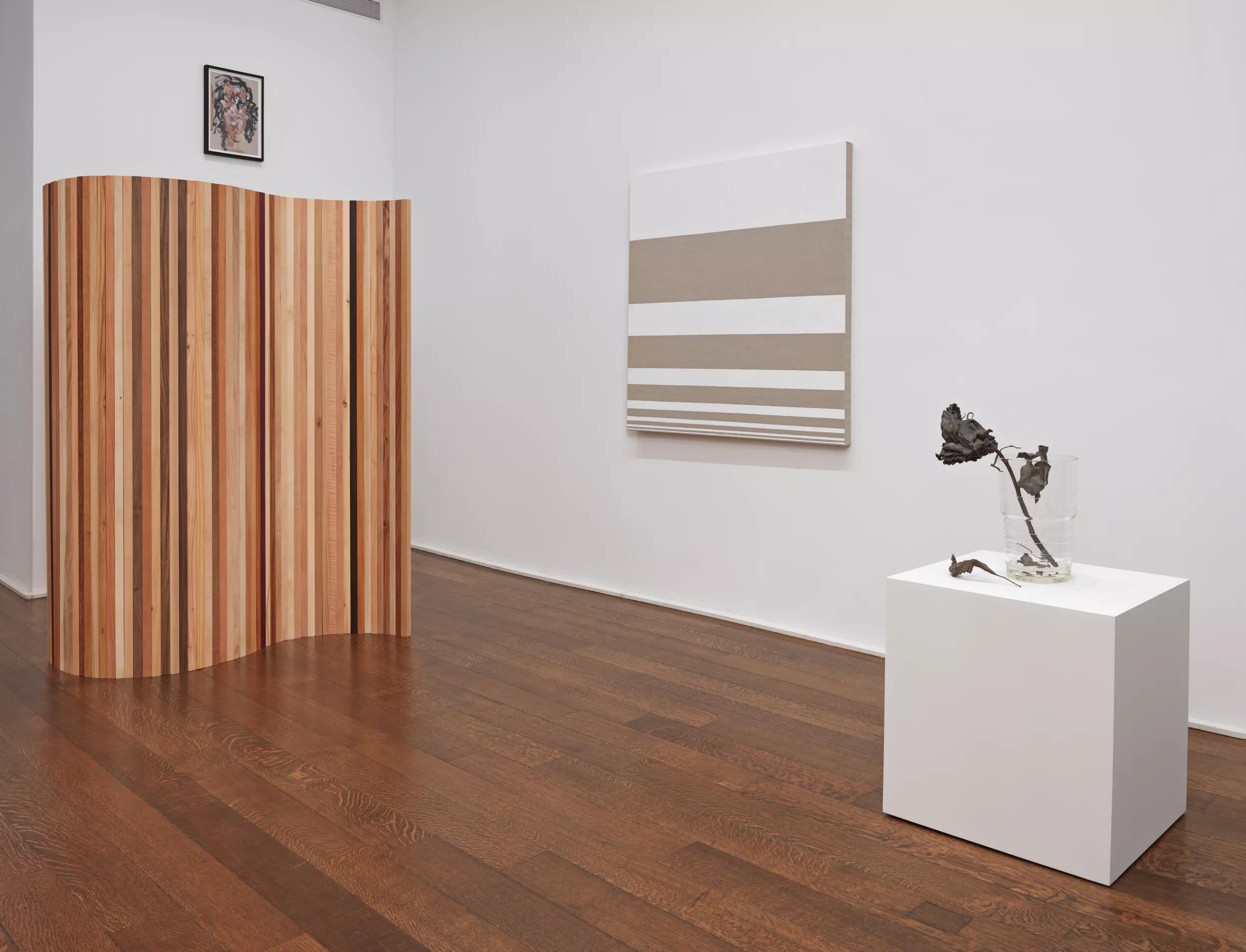 Installation view image for Installation views