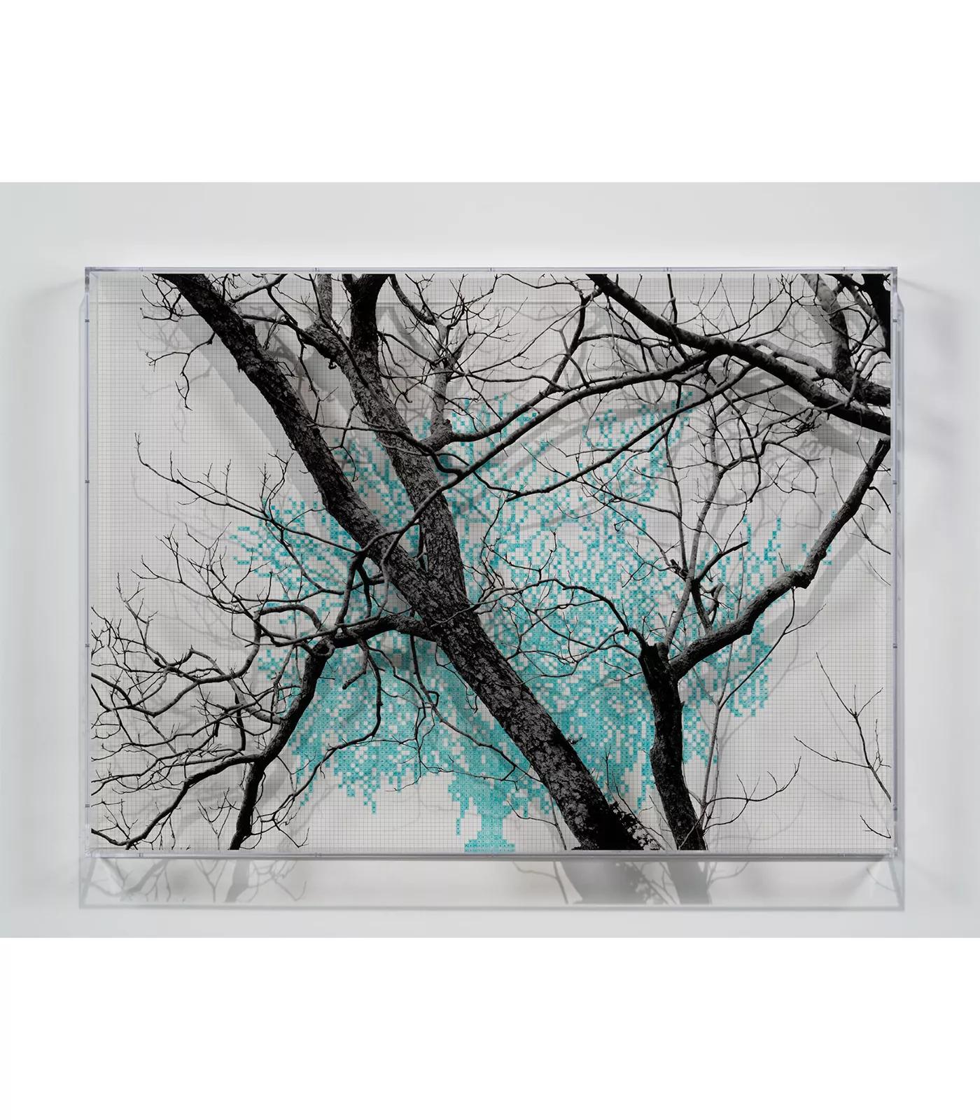 Image for exhibition titled Charles Gaines