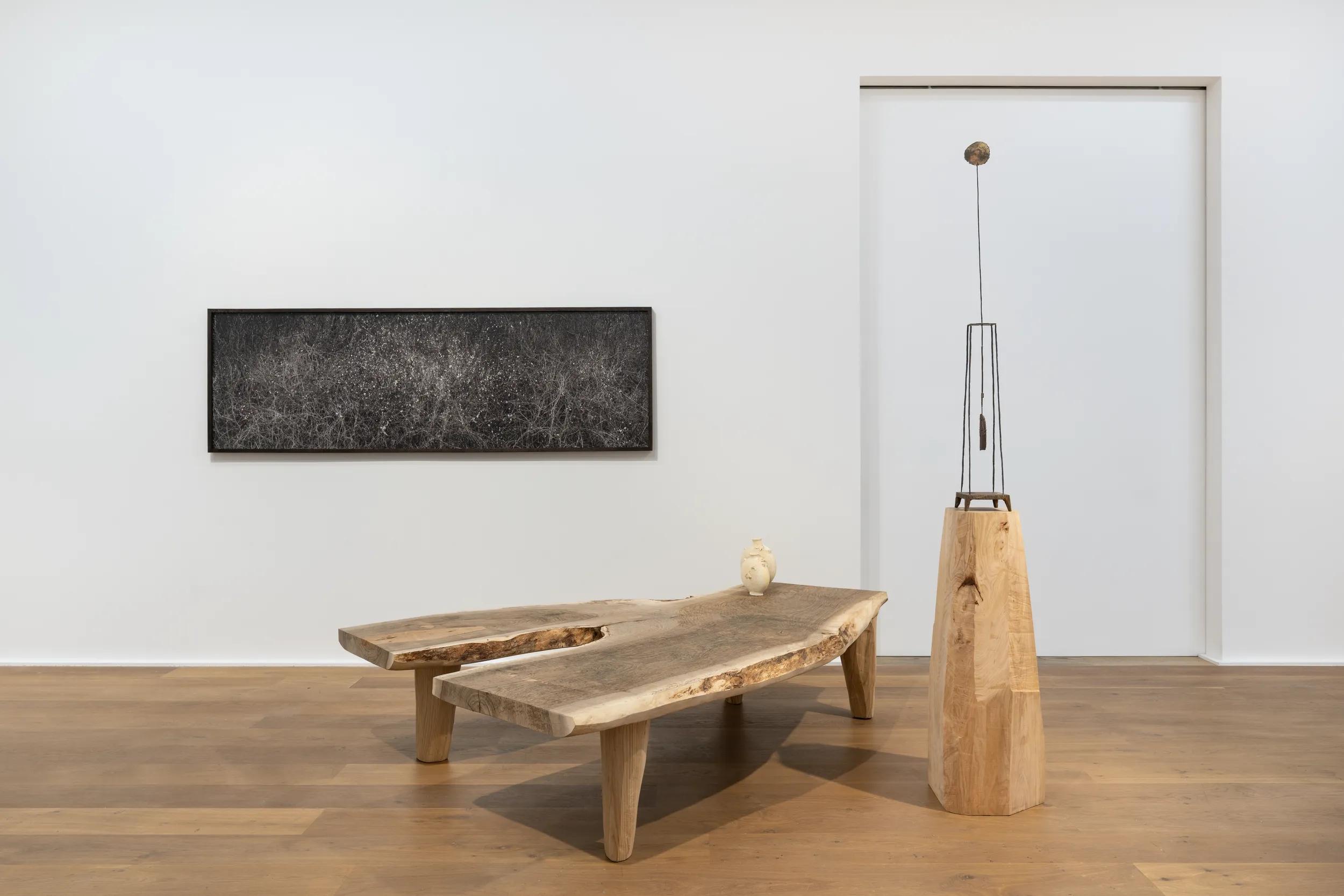 Installation view image for Installation Views