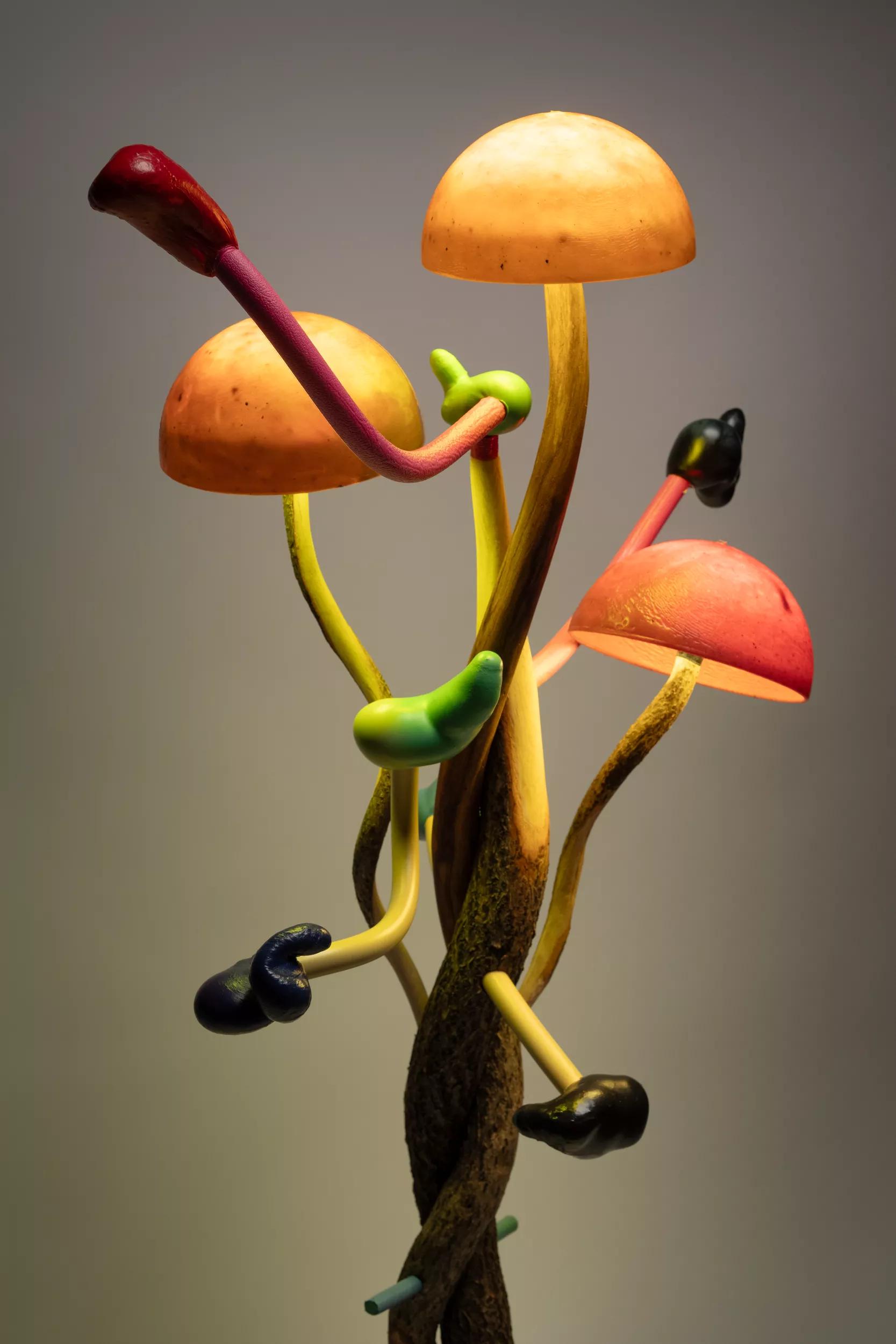 Image for exhibition titled Mika Rottenberg