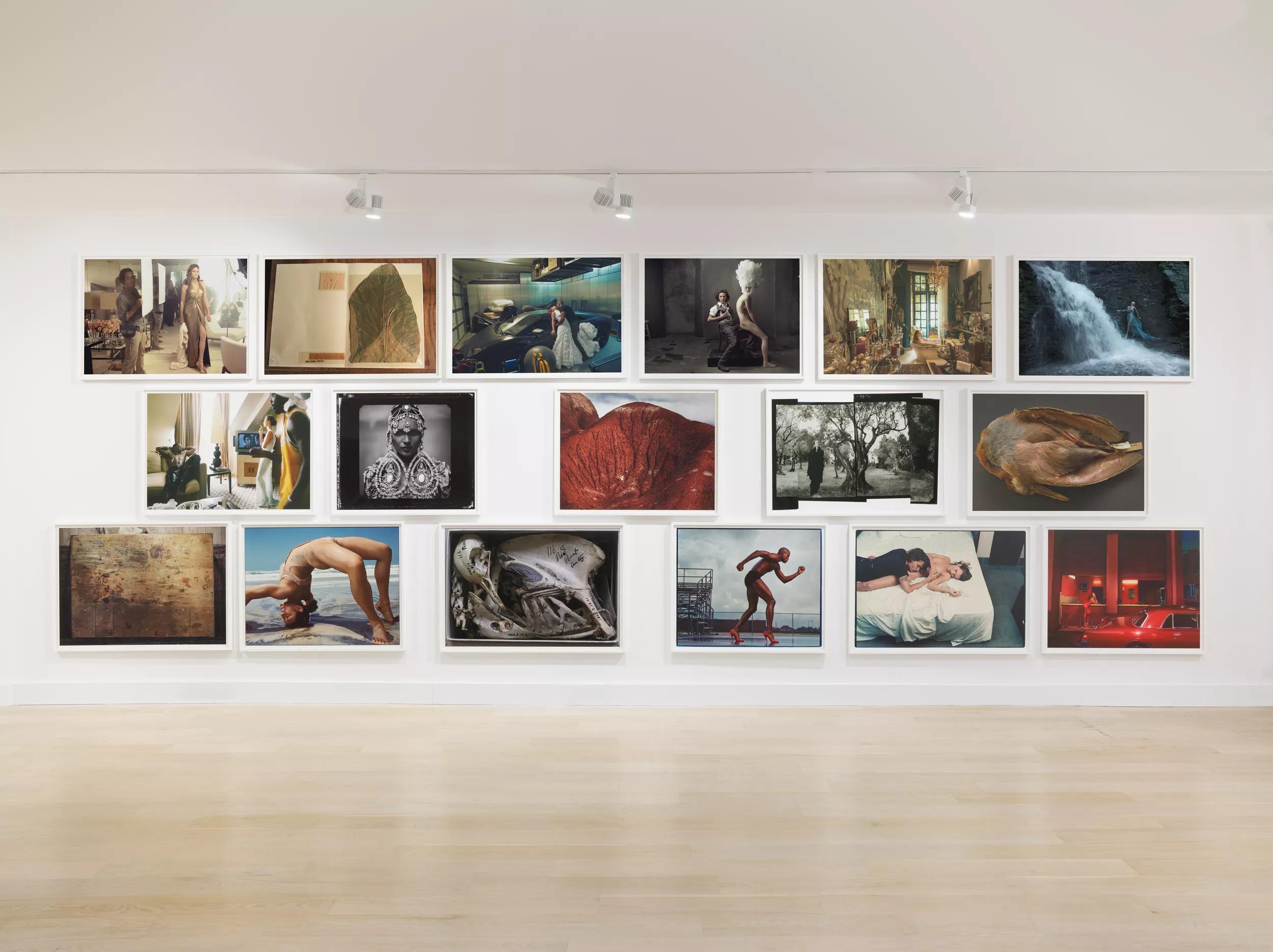Image for exhibition 