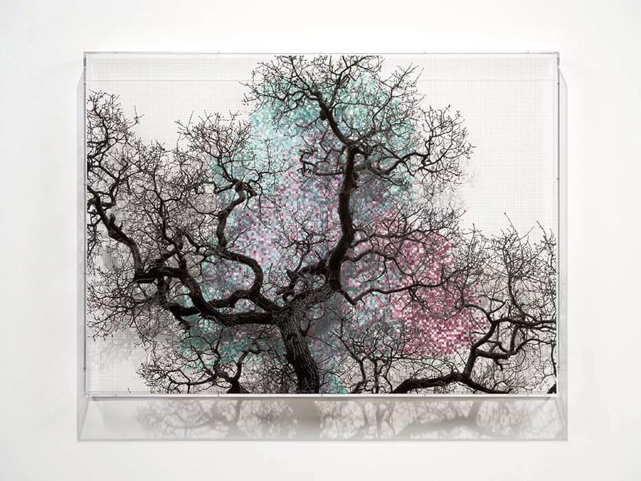 Thumbnail image for exhibition titled Numbers and Trees: London Series 2, Tree #3, Minerva Walk