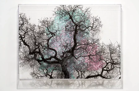 Thumbnail image for exhibition titled Numbers and Trees: London Series 2, Tree #3, Minerva Walk