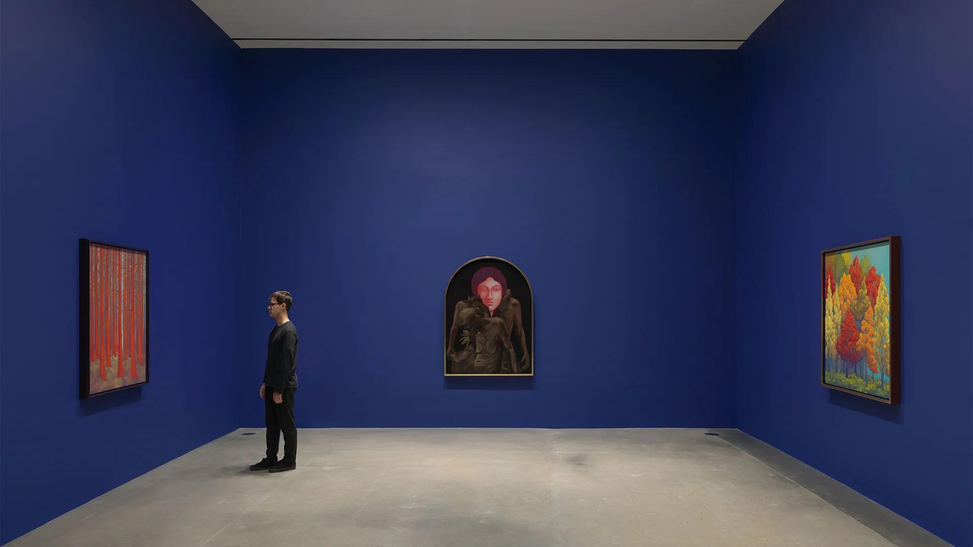 Installation view image for Installation Views