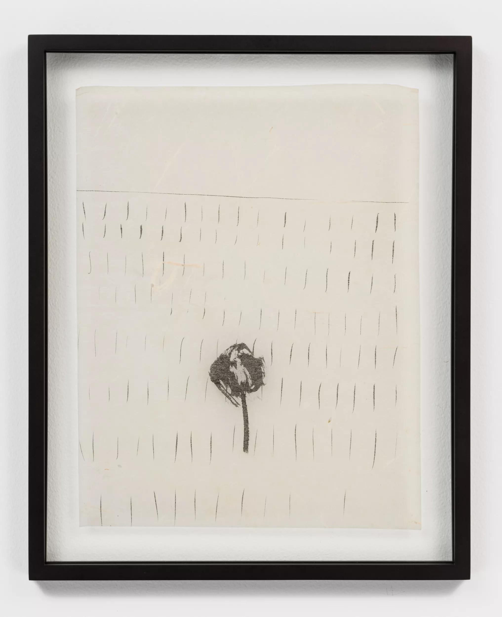 Image for exhibition 