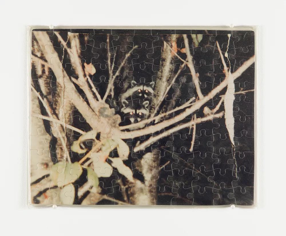 Image for exhibition 