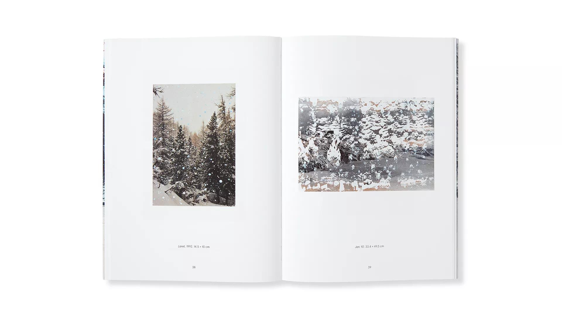 Thumbnail image for exhibition titled Gerhard Richter: Engadin