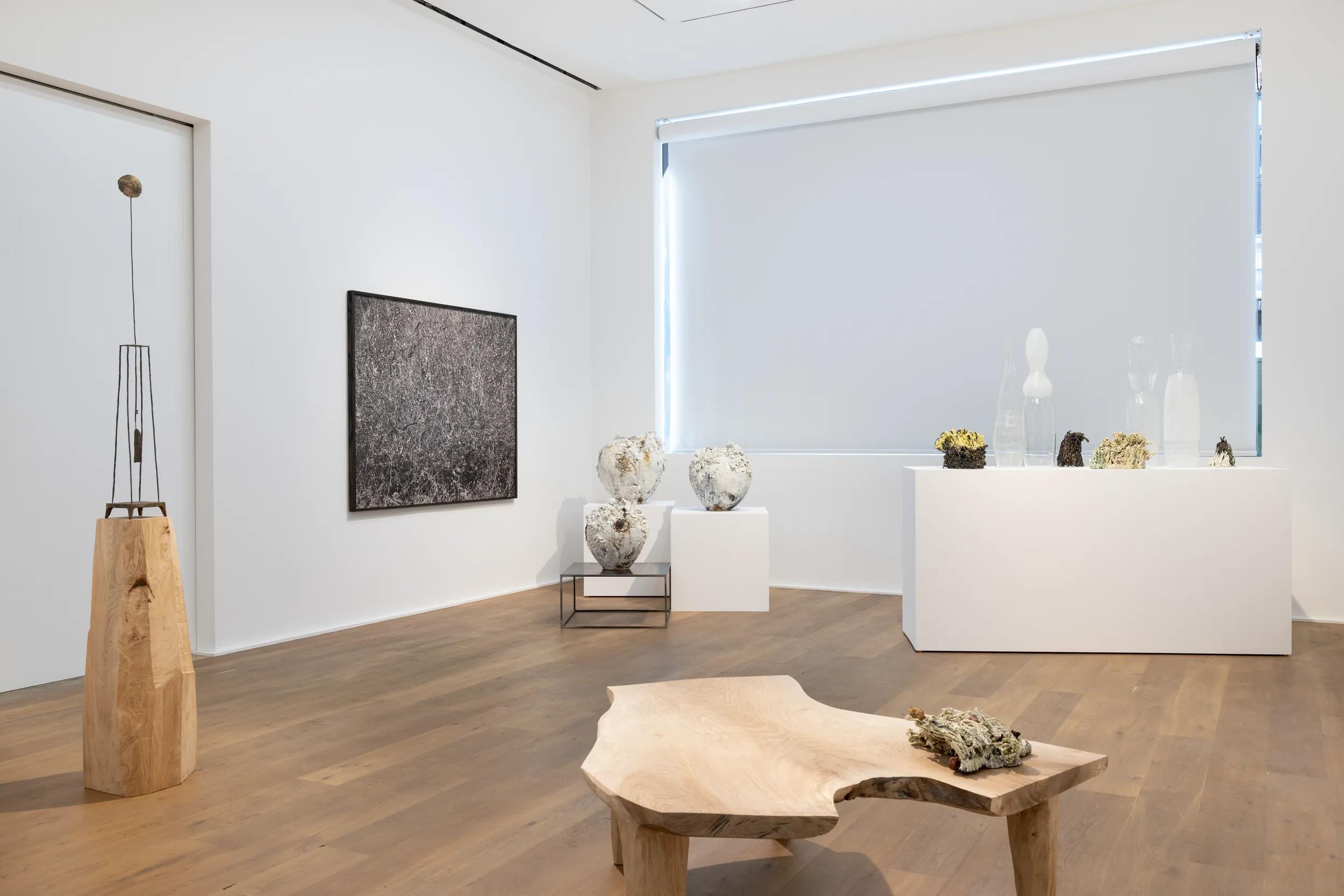 Installation view image for Installation Views