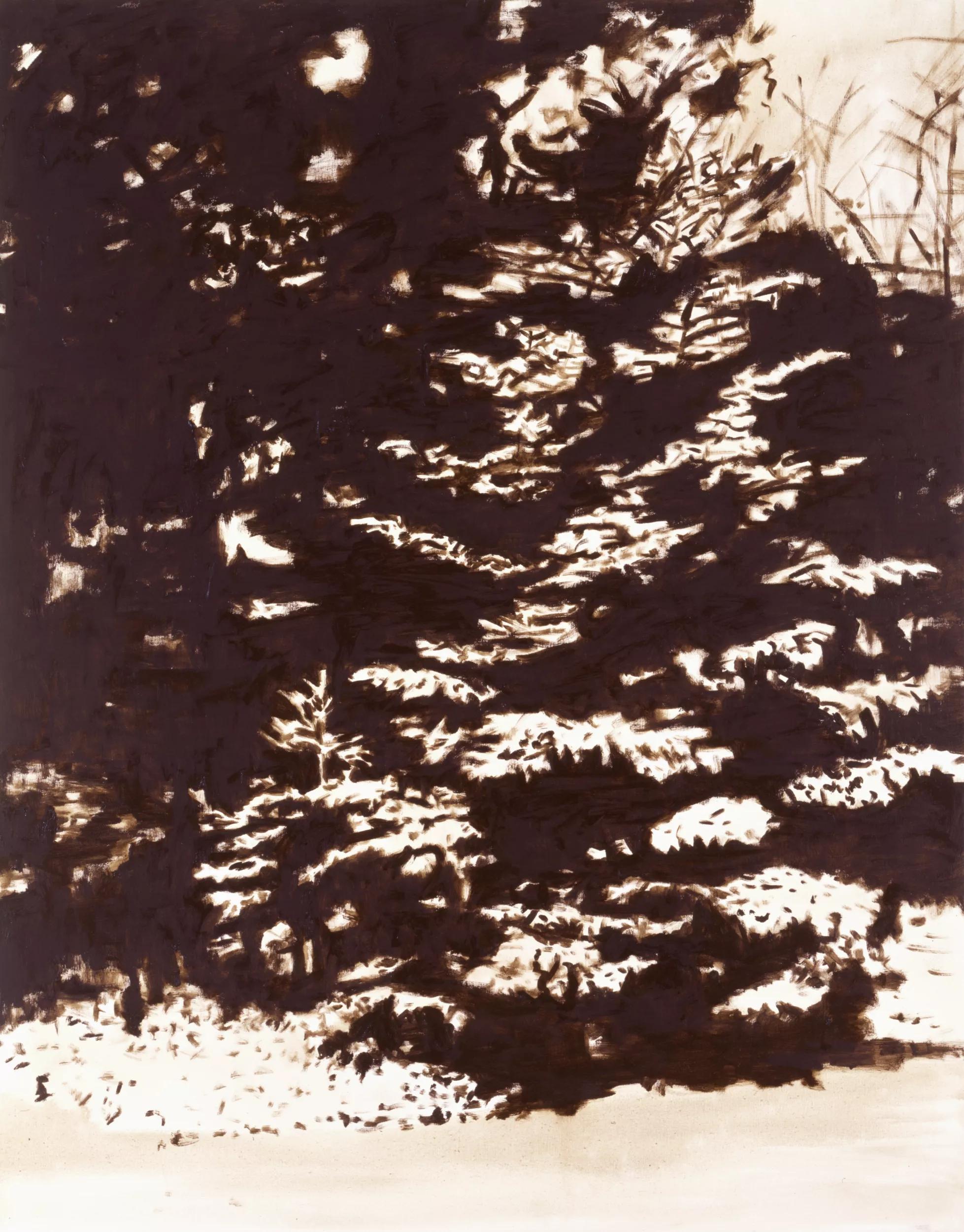 Image for exhibition 