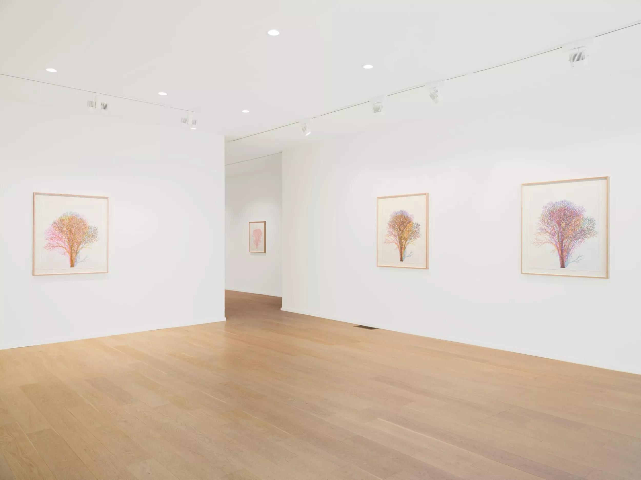 Image for exhibition 
