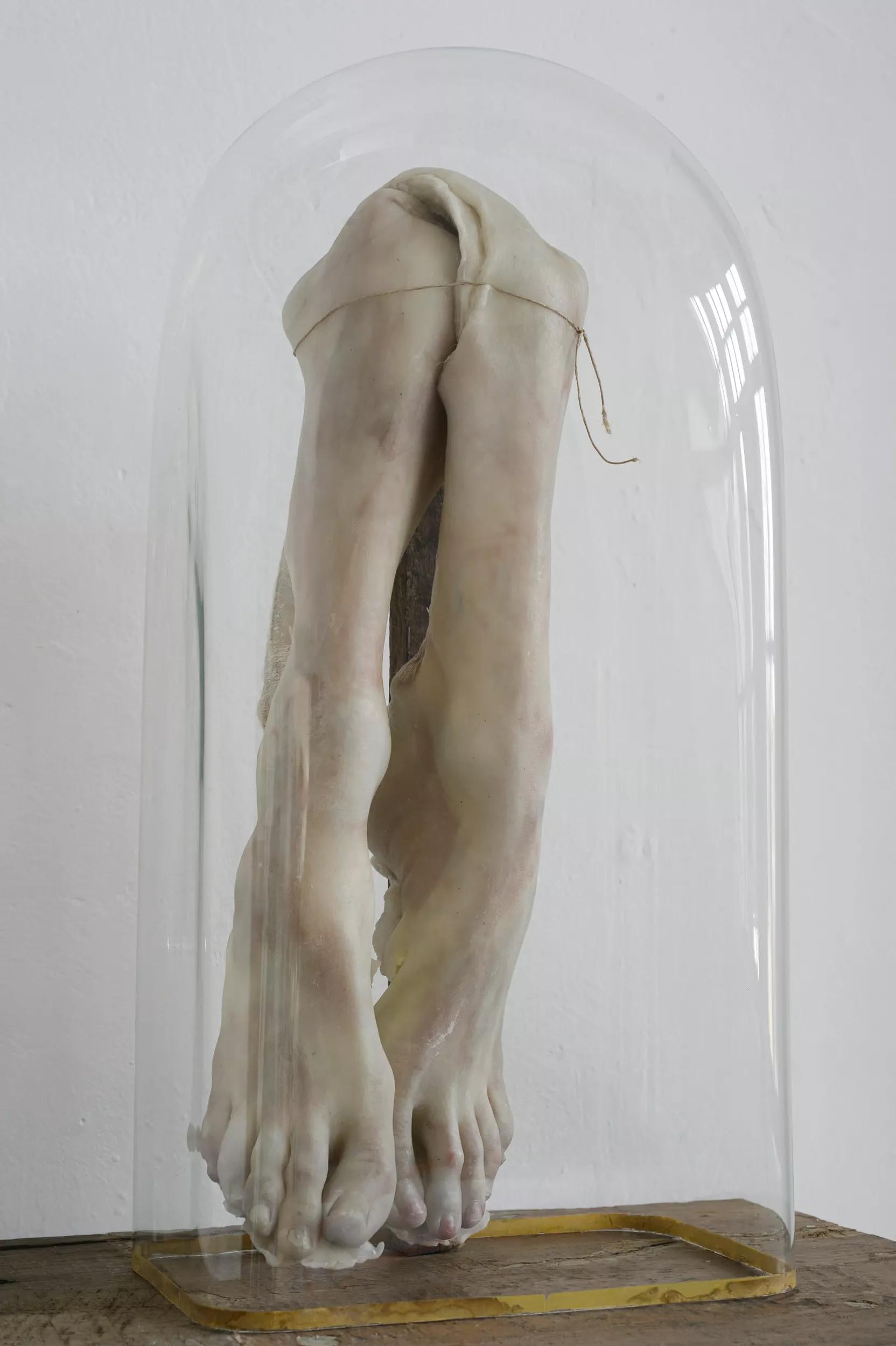 Image for exhibition 