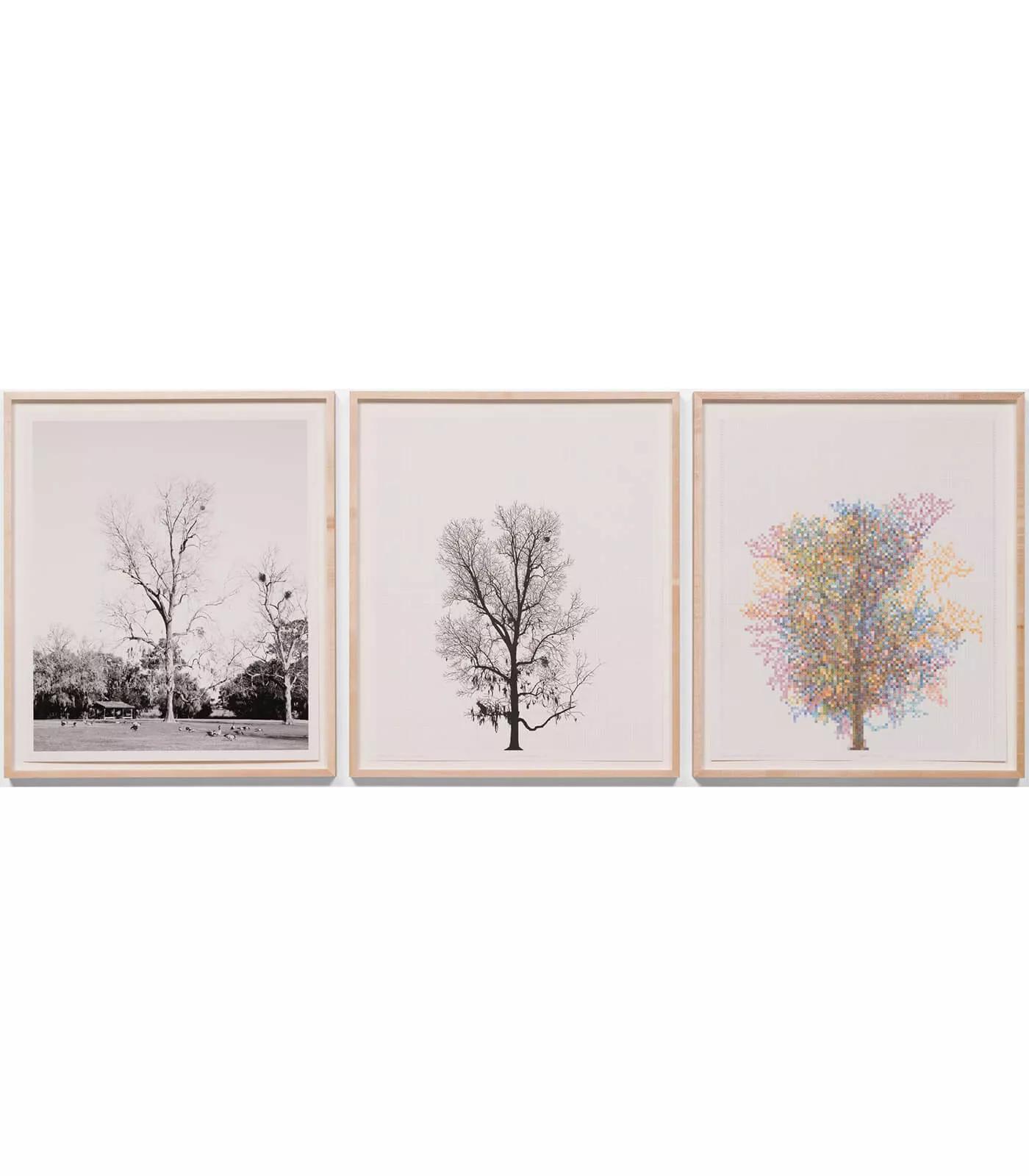 Image for exhibition titled Charles Gaines