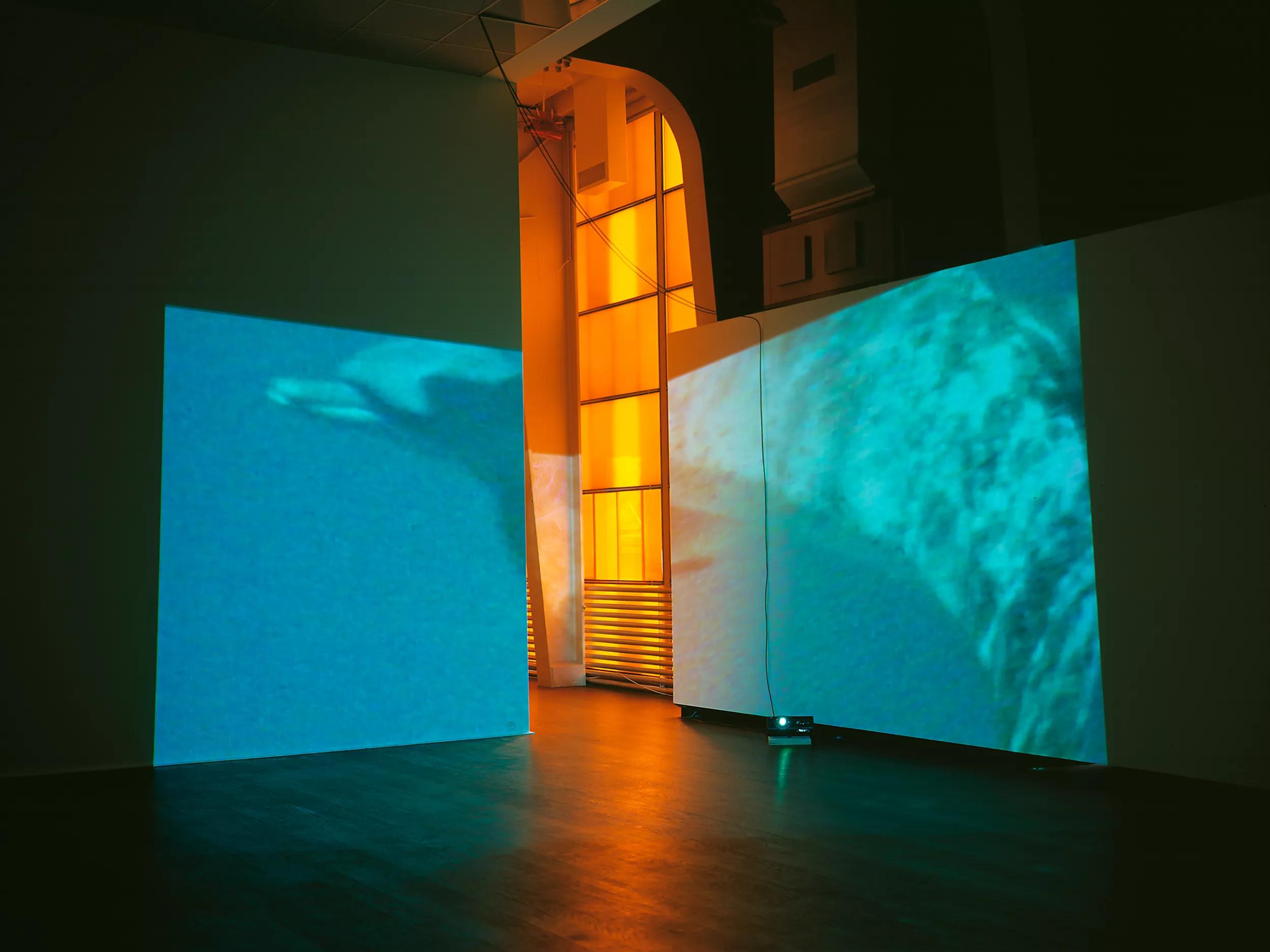Image for Diana Thater
