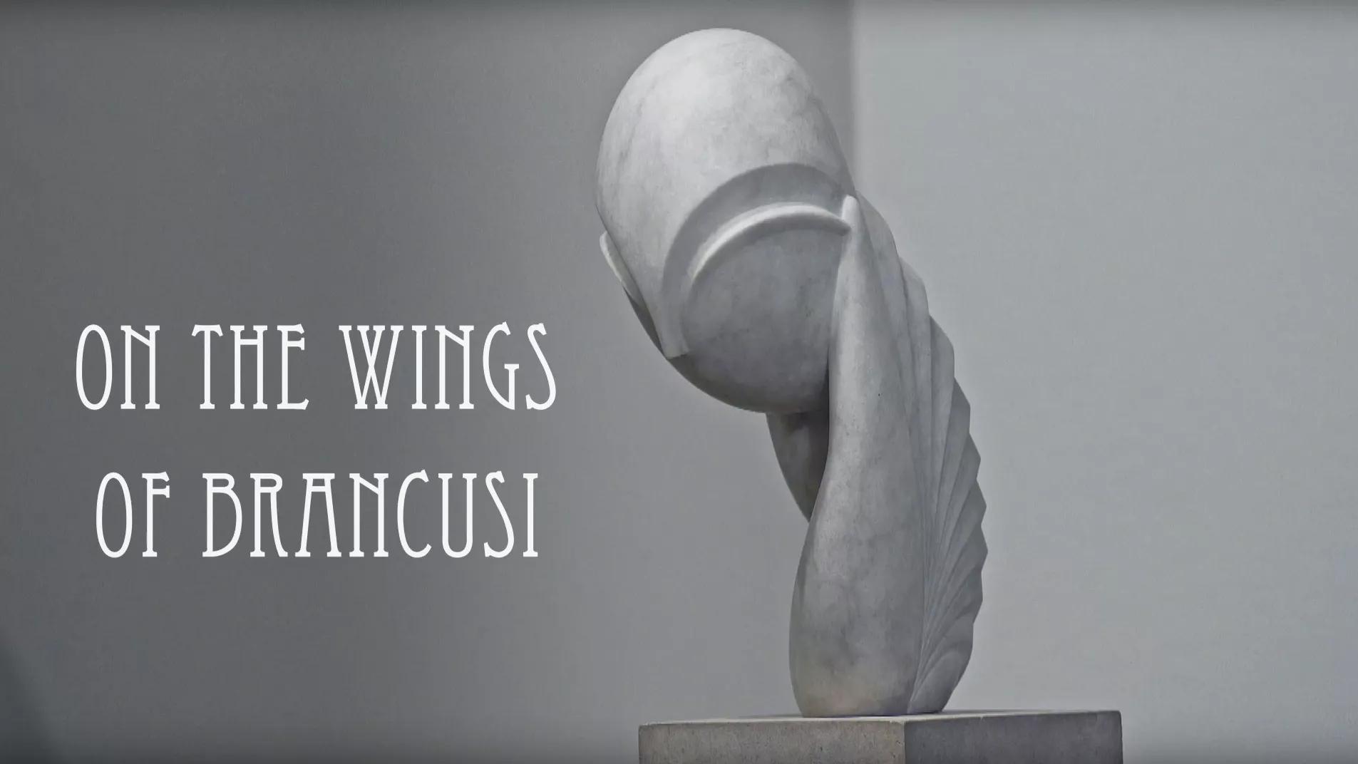 Hero image for event titled Special Screening: On the Wings of Brancusi