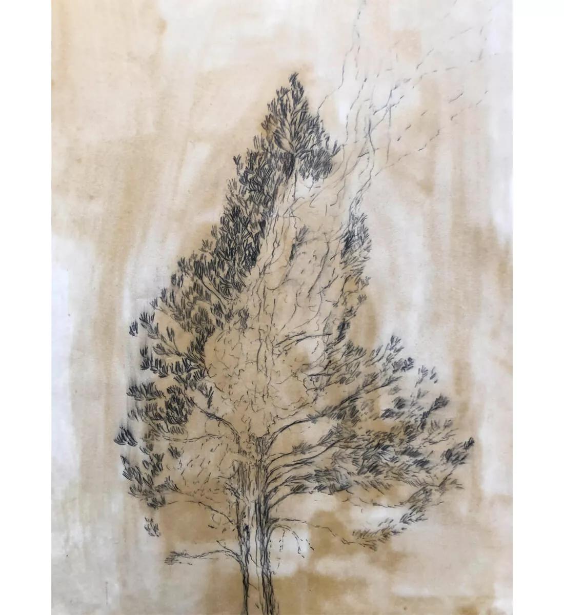 Image for exhibition 