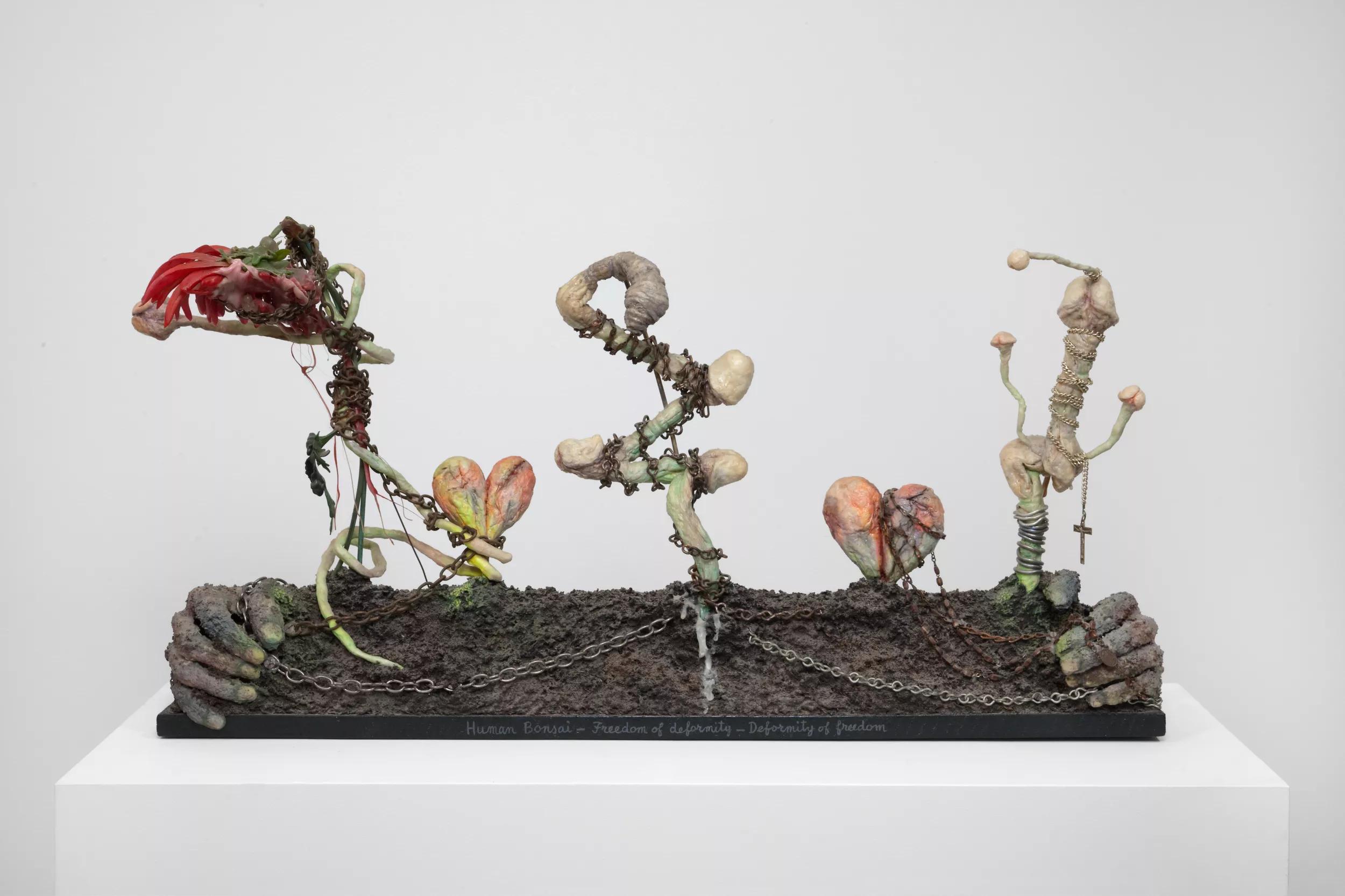 Image for exhibition 