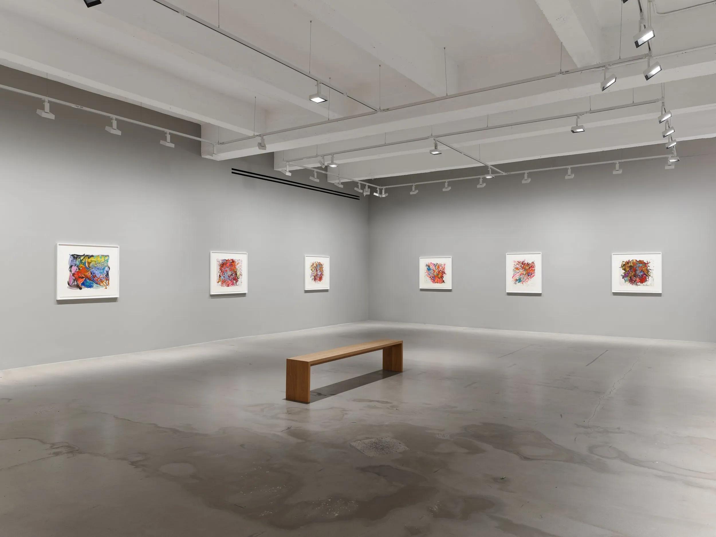 Installation view image for Installation Views