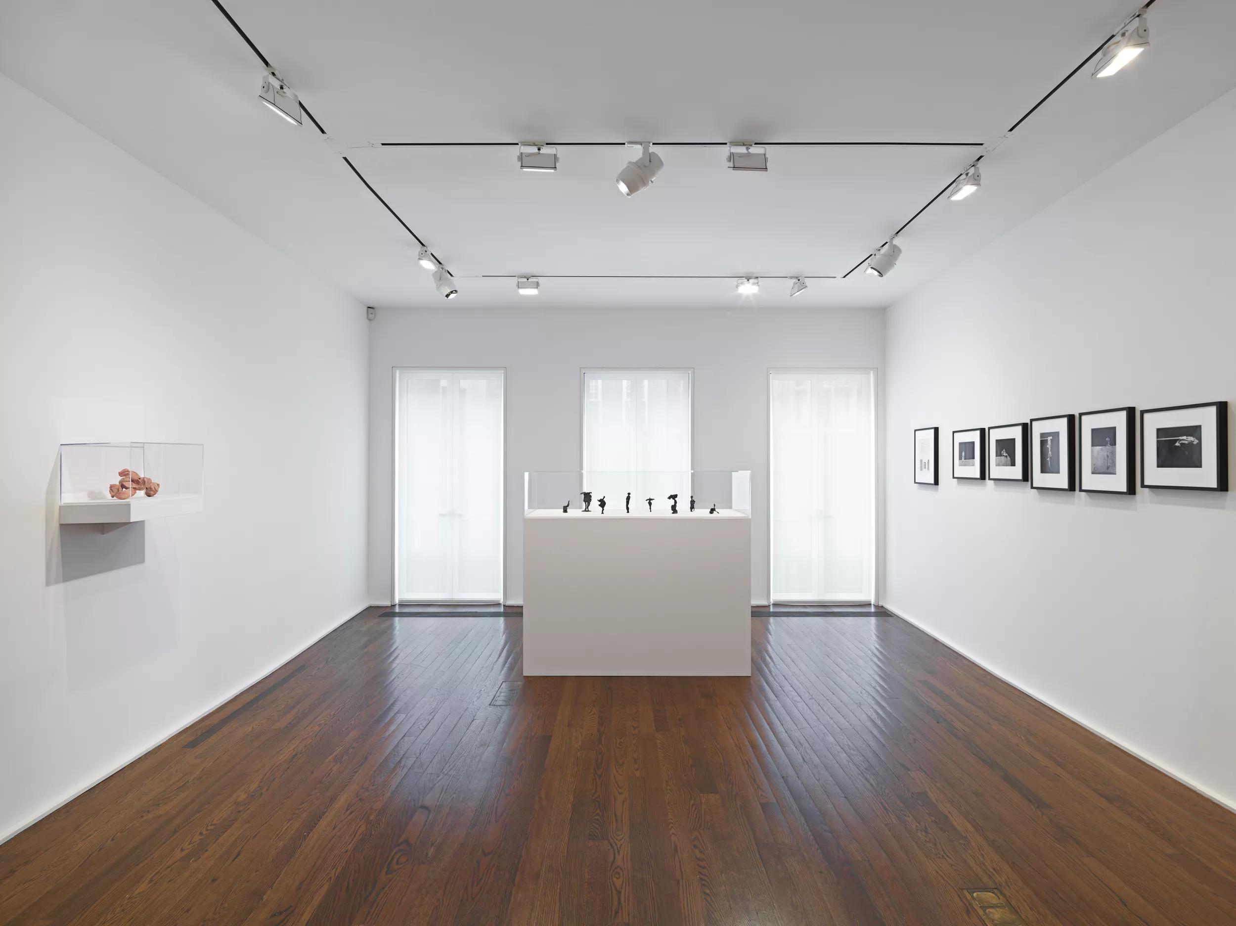 Installation view image for Installation views
