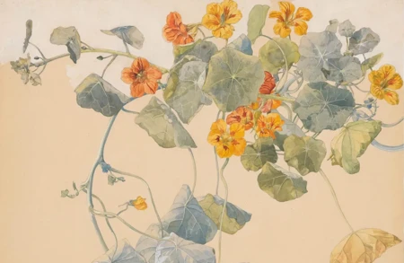 Thumbnail image for exhibition titled Sophie Taeuber-Arp<br>Textile Reformer