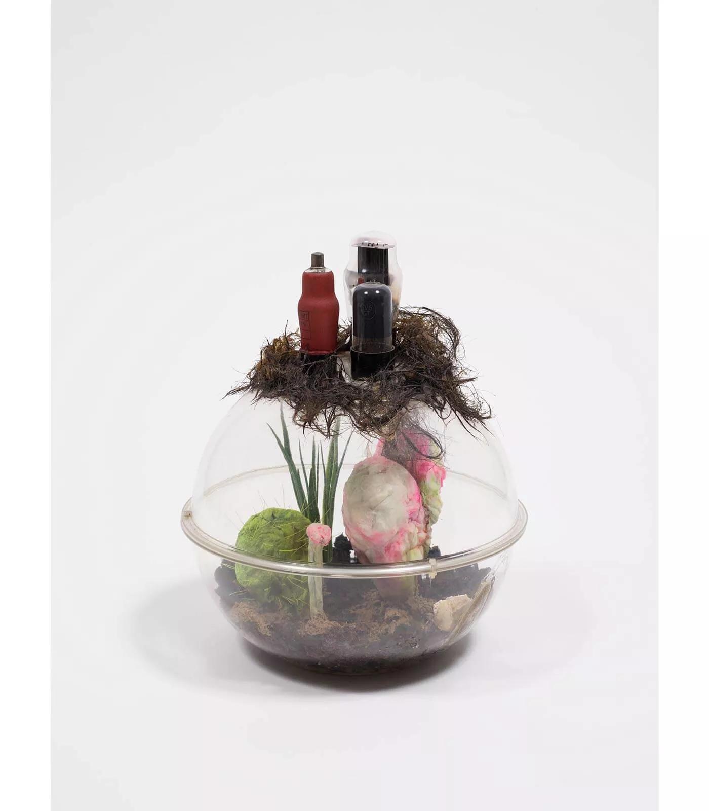 Image for exhibition titled Tetsumi Kudo