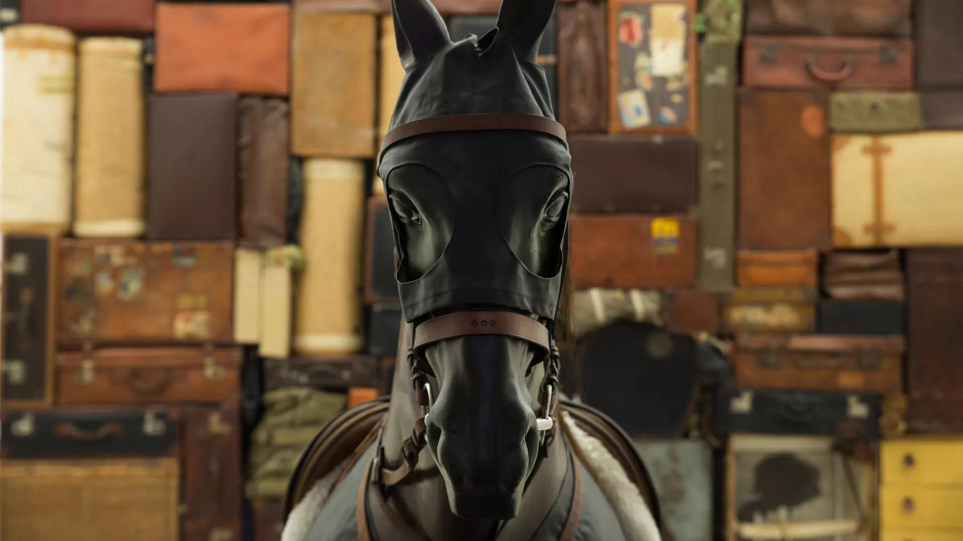 609489.jpg