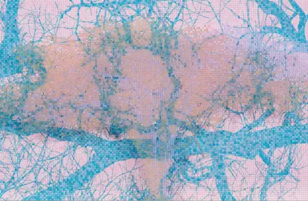Image for exhibition titled Charles Gaines