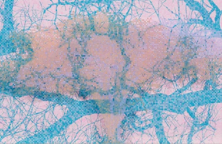 Image for exhibition titled Charles Gaines