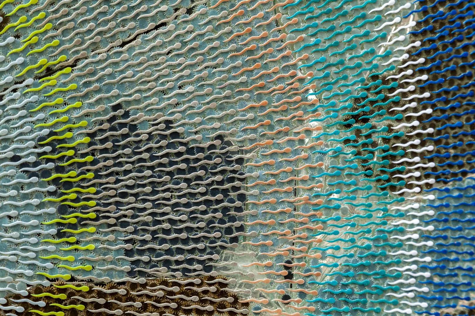 Thumbnail image for exhibition titled Algorithm for hiding