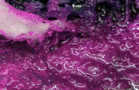 Thumbnail Image for Ursula Article titled Travels through Mika Rottenberg’s Spaghetti Blockchain