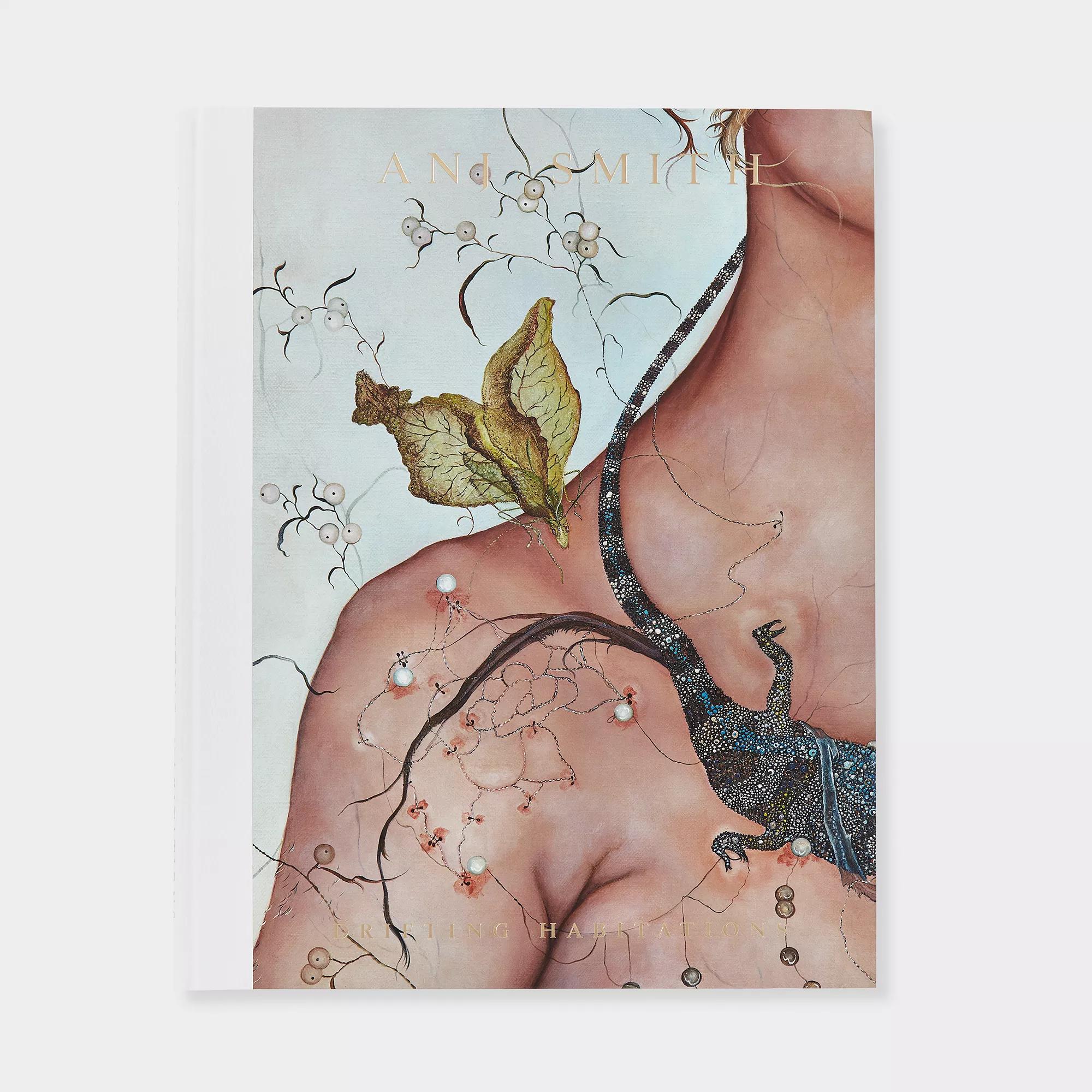 Image for exhibition titled Anj Smith: Drifting Habitations