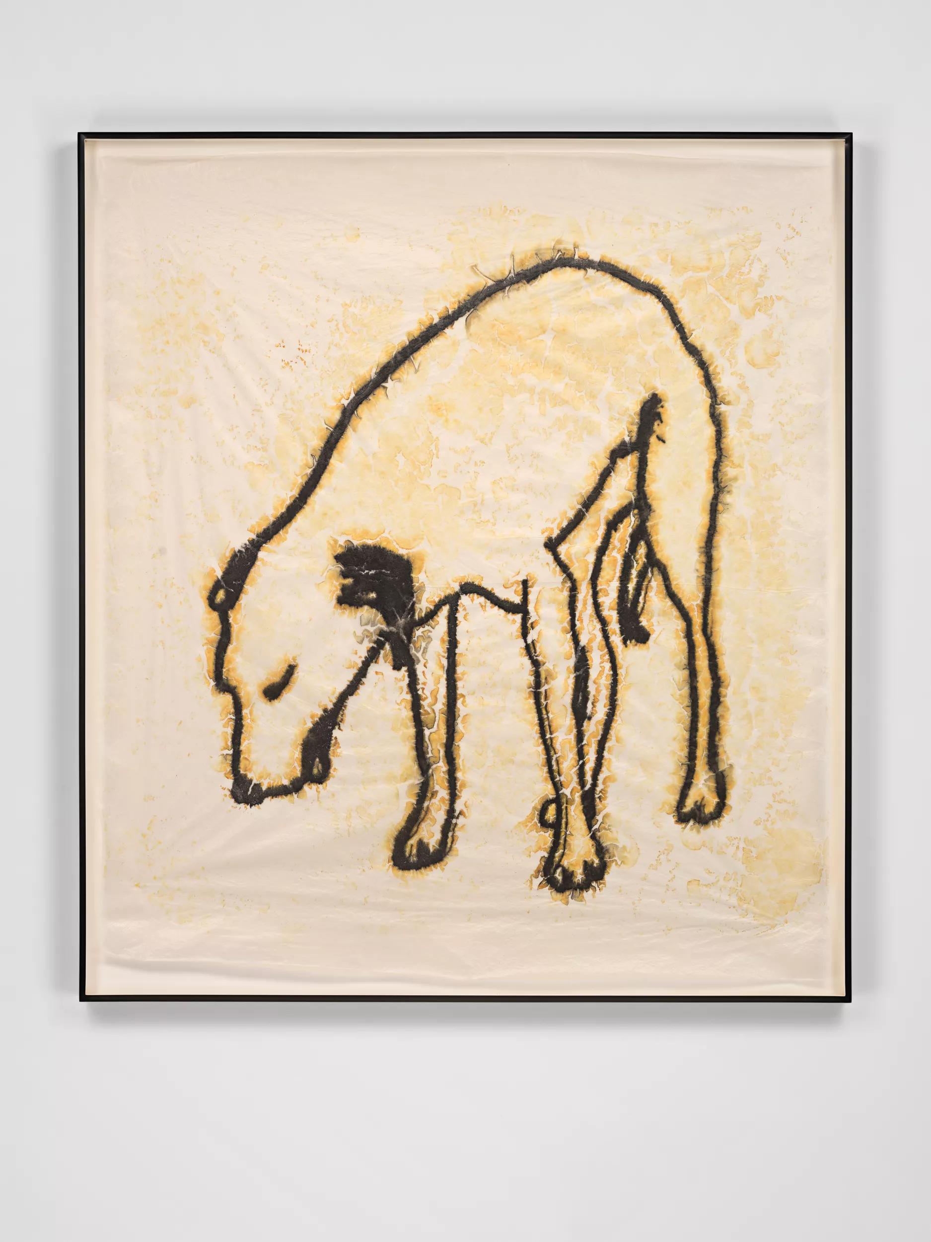 Image for exhibition 