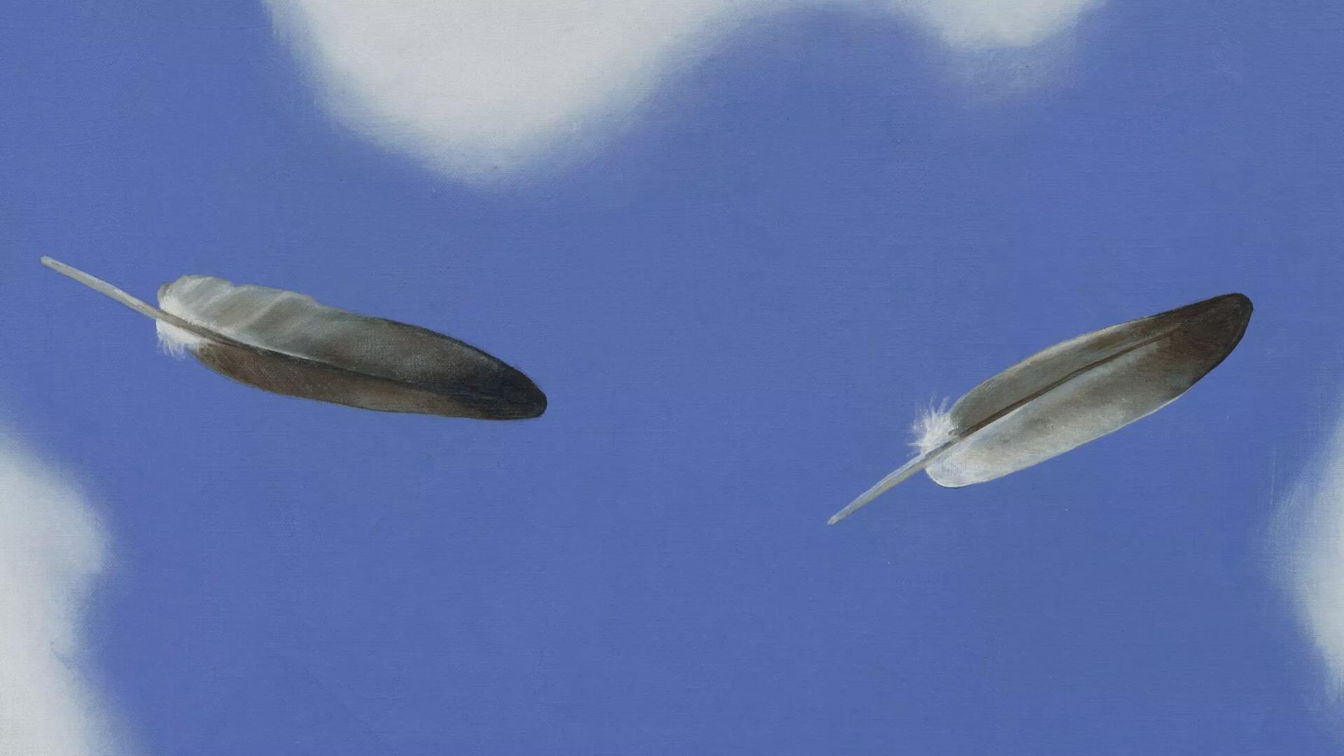 Image for exhibition 